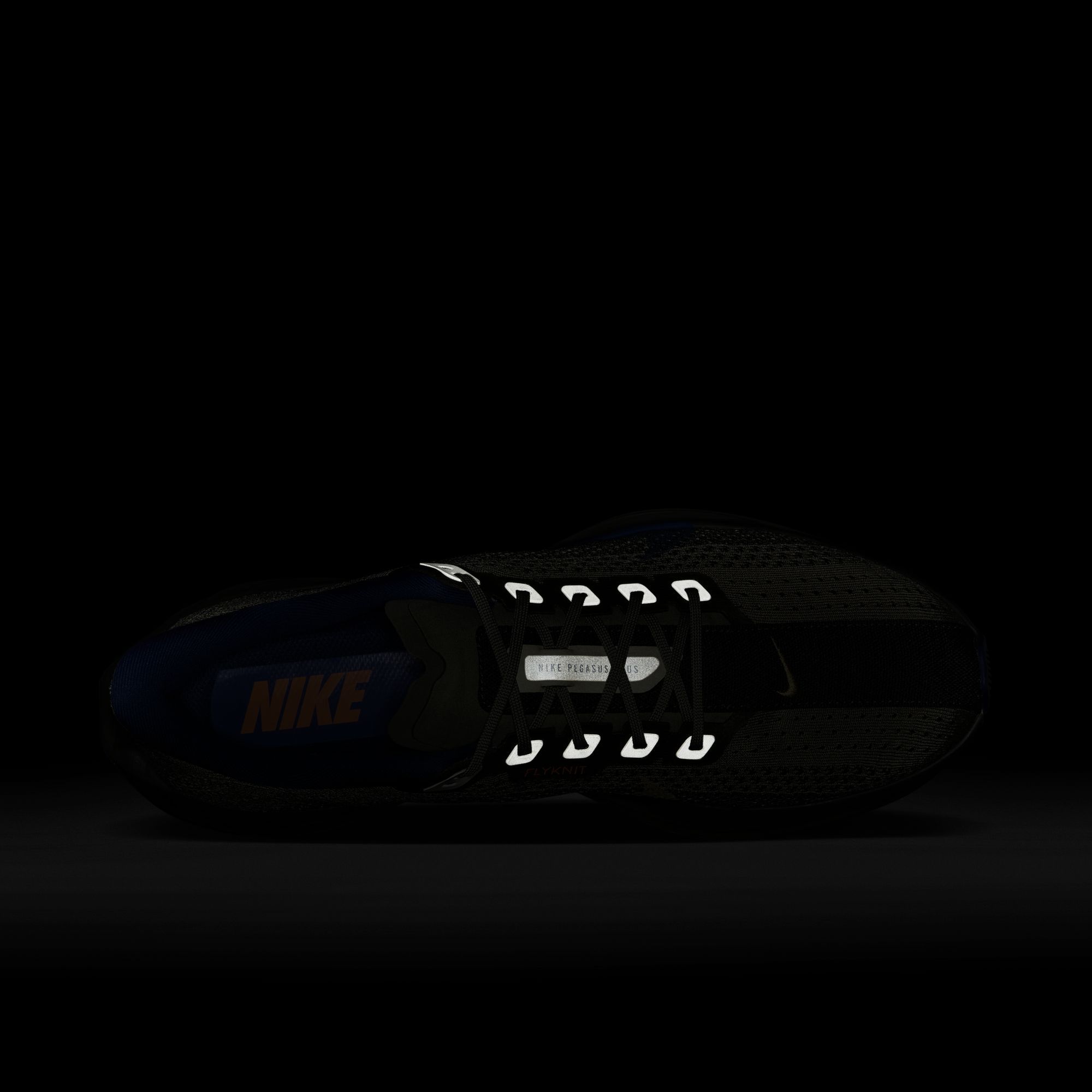 Nike Men's Pegasus Plus Running Shoes product image