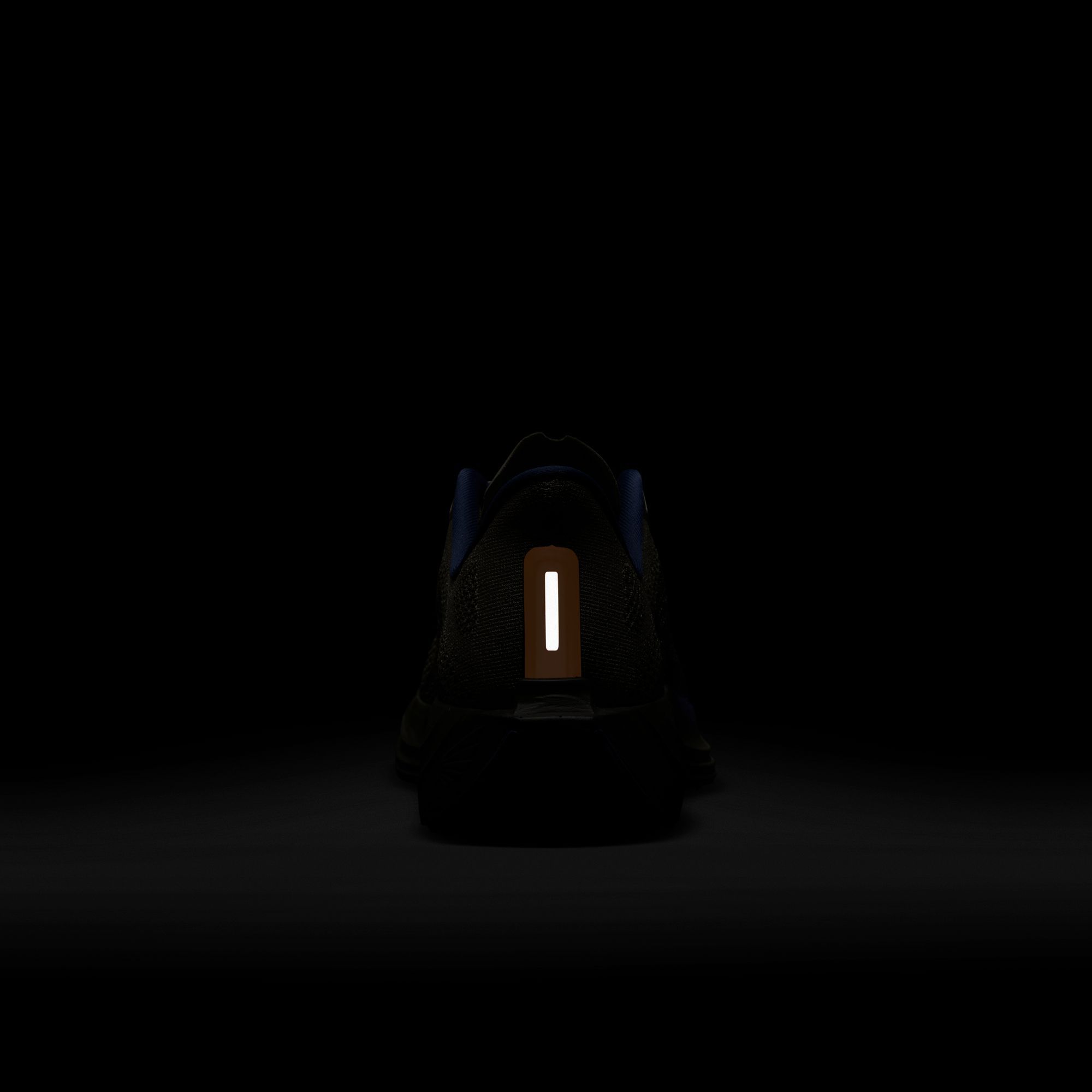 Nike Men's Pegasus Plus Running Shoes product image