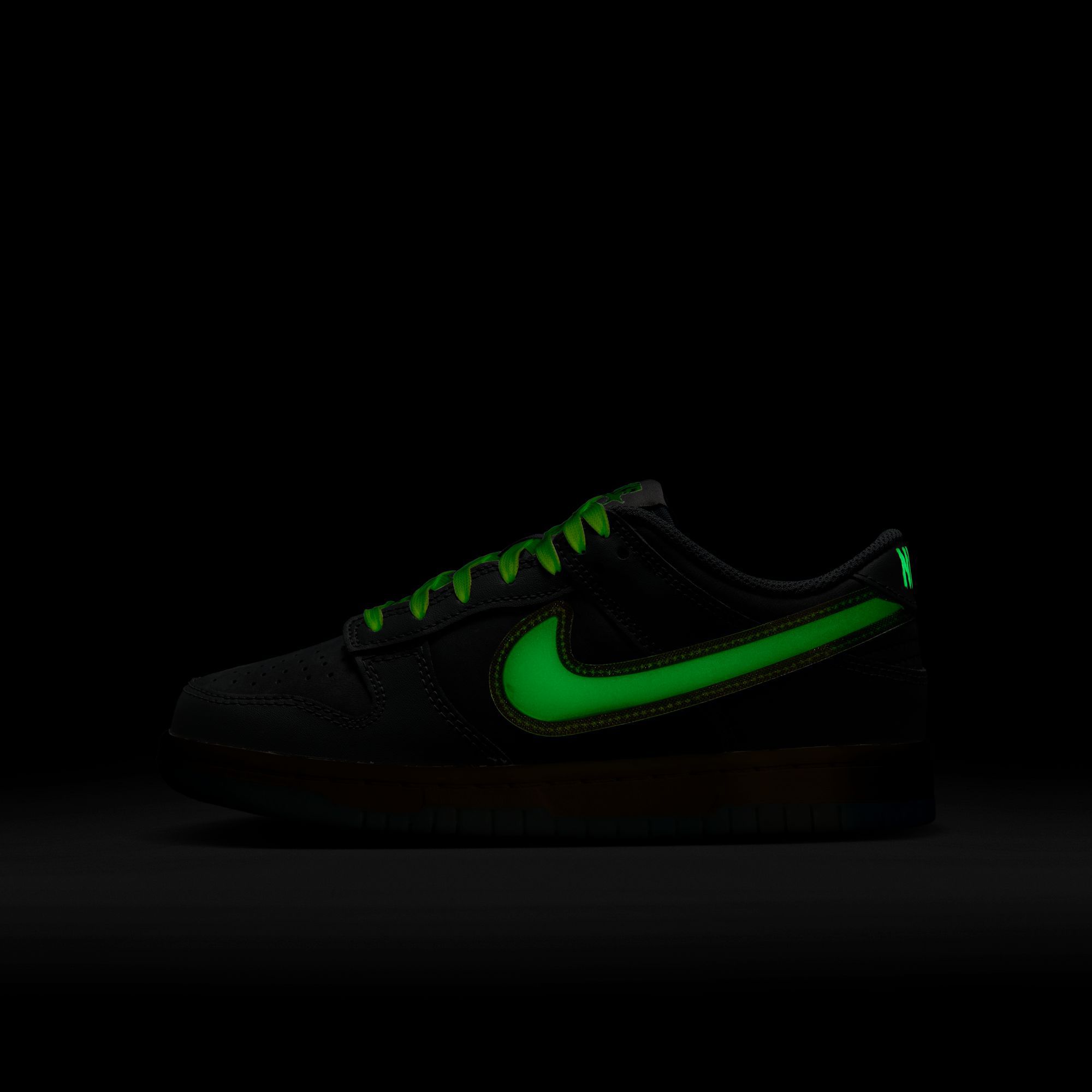 Nike Kids' Grade School Dunk Low Shoes product image