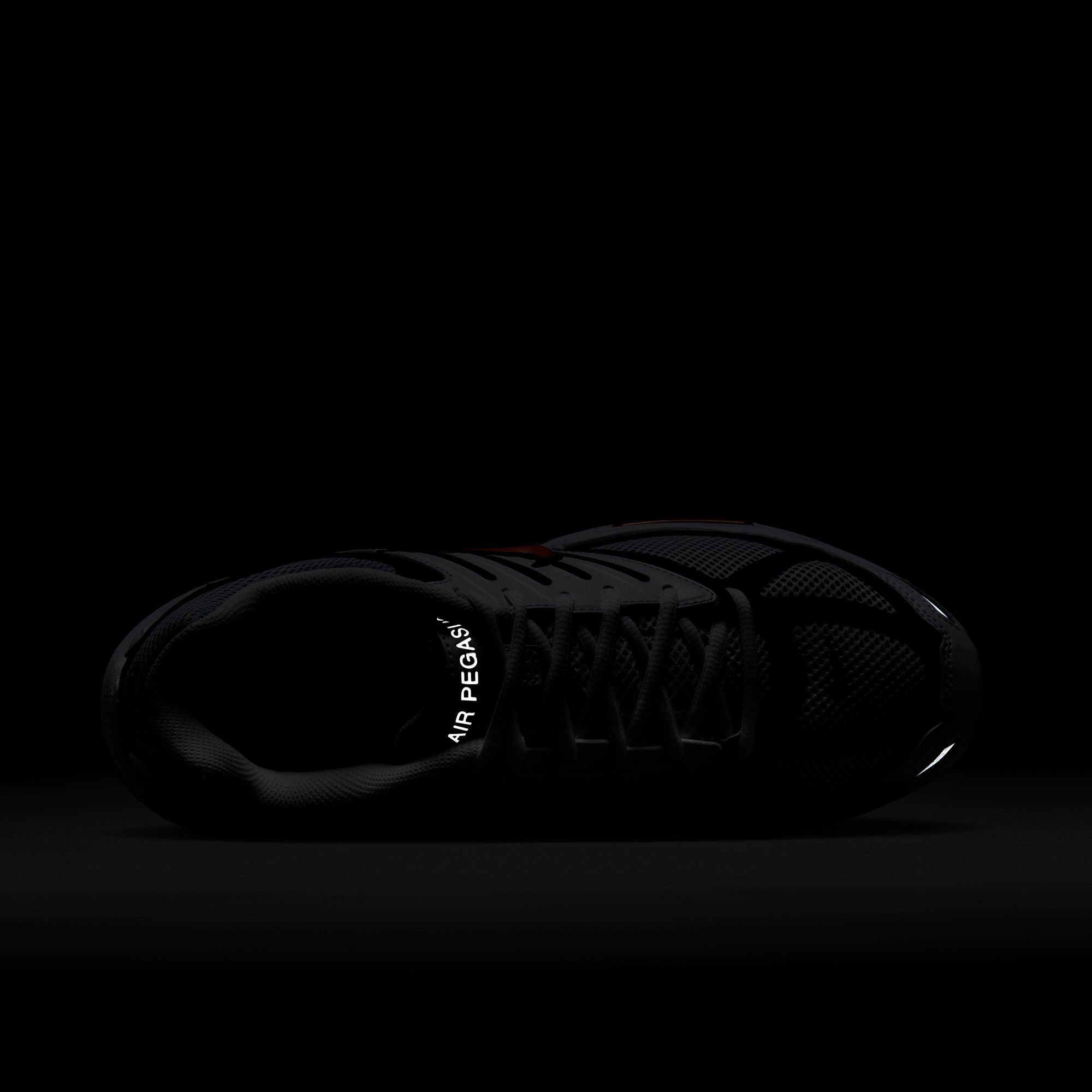 Nike Men's Air Pegasus 2005 Running Shoes product image