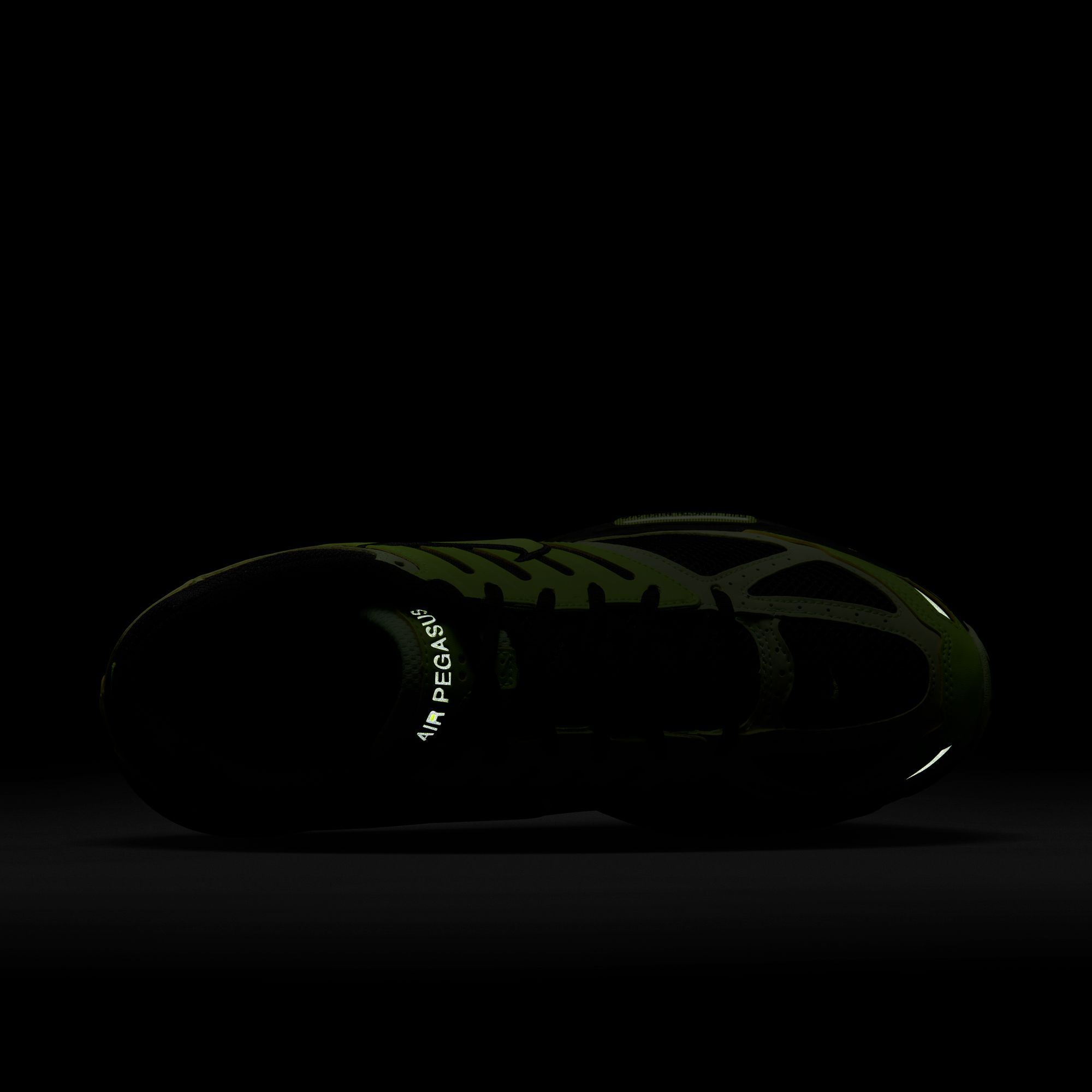 Nike Men's Air Pegasus 2005 Running Shoes product image