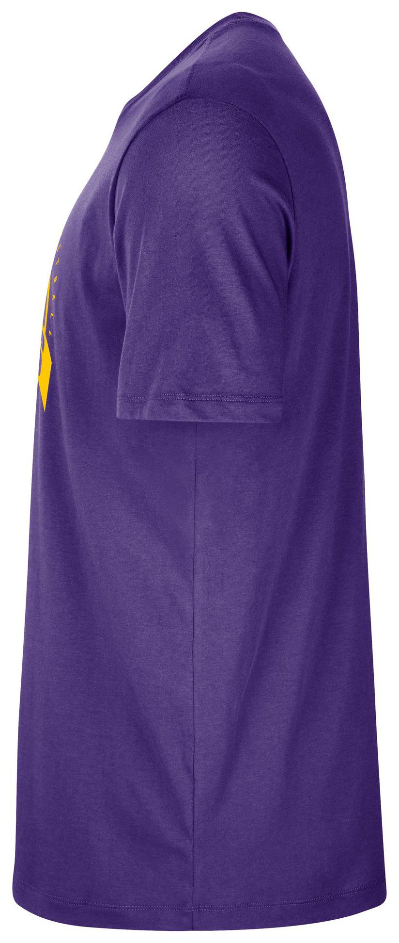 Nike Men's Los Angeles Lakers Purple On Court Practice T-Shirt product image