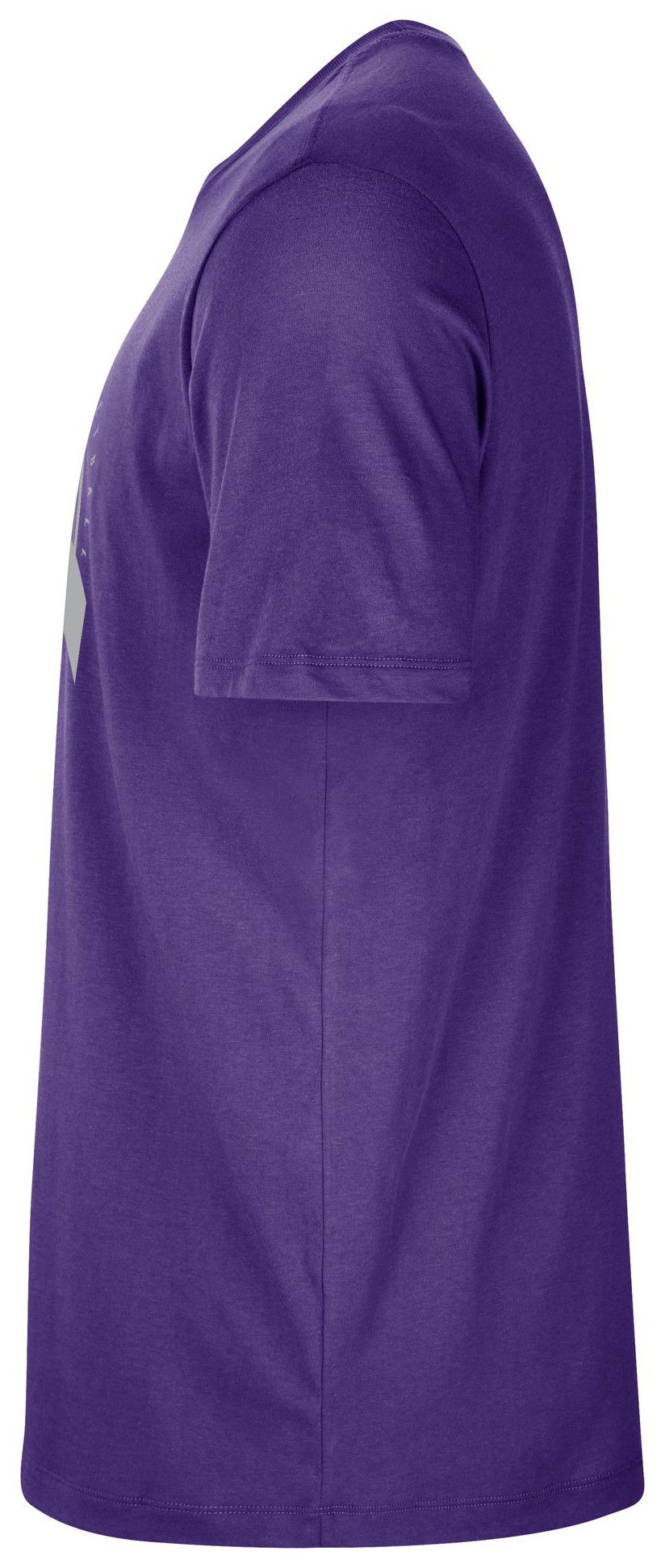 Nike Men's Sacramento Kings Purple On Court Practice T-Shirt product image