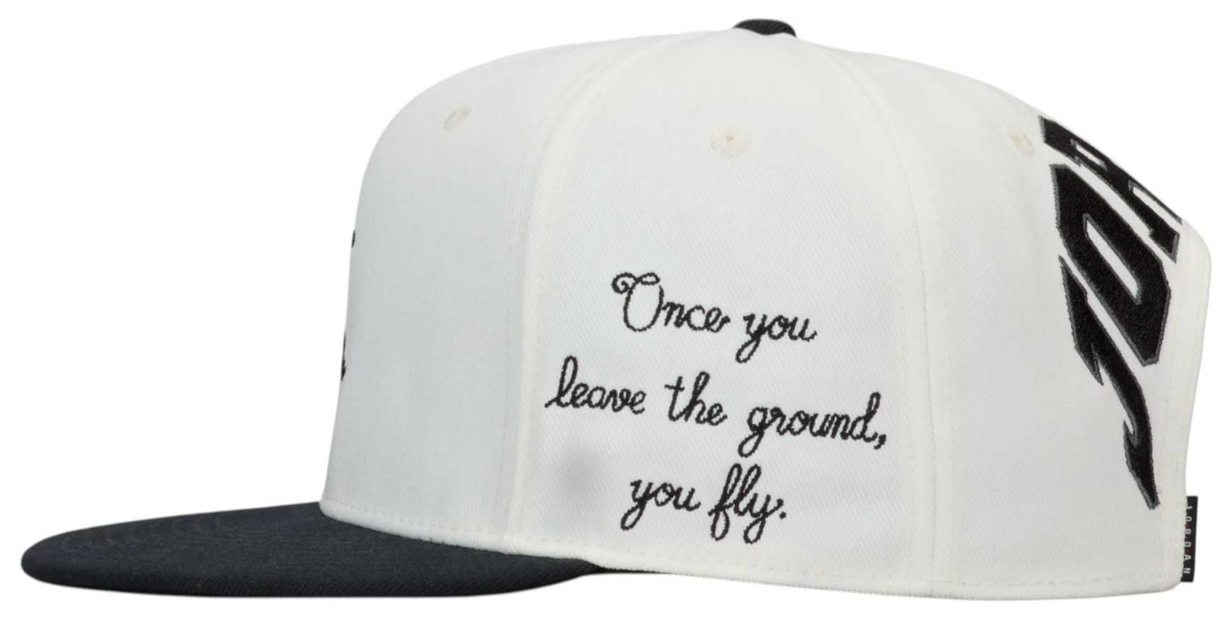 Nike Jordan Pro Hat product image