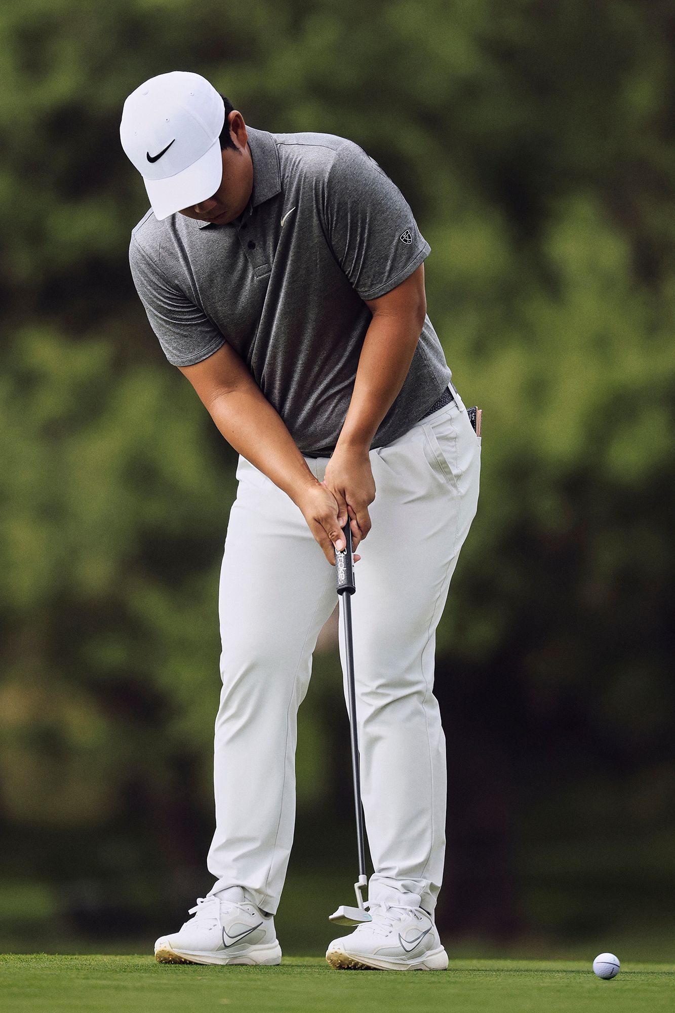 Nike Pegasus 1 Golf Shoes product image