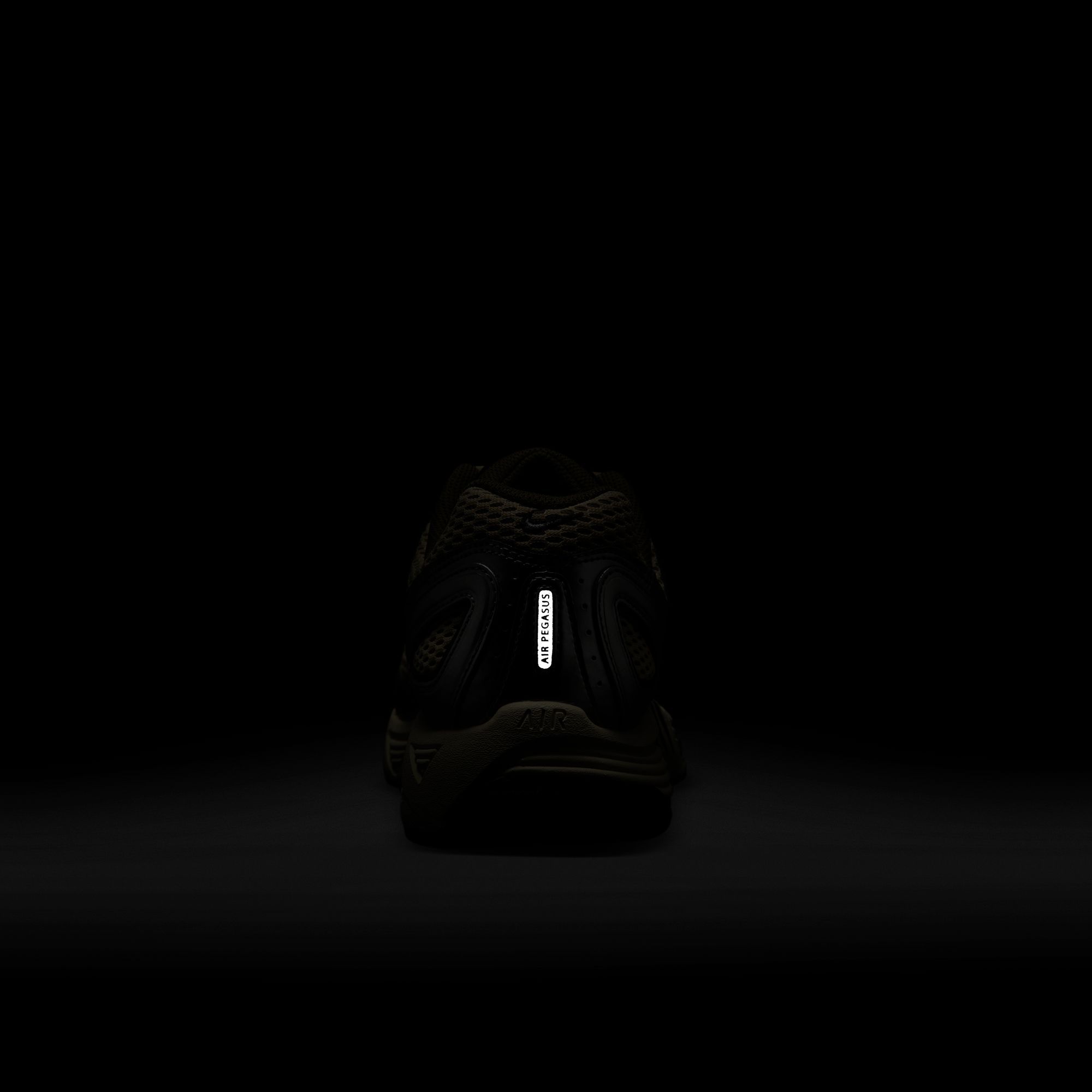 Nike Men's Air Pegasus 2005 Running Shoes product image