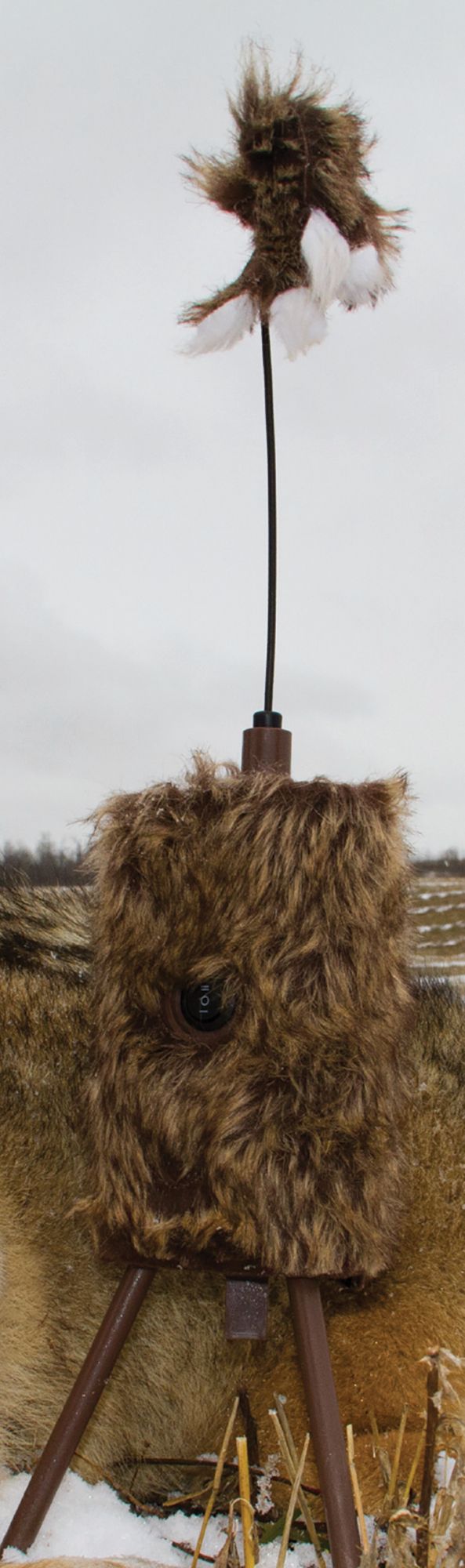 MOJO Outdoors Super Critter Decoy product image