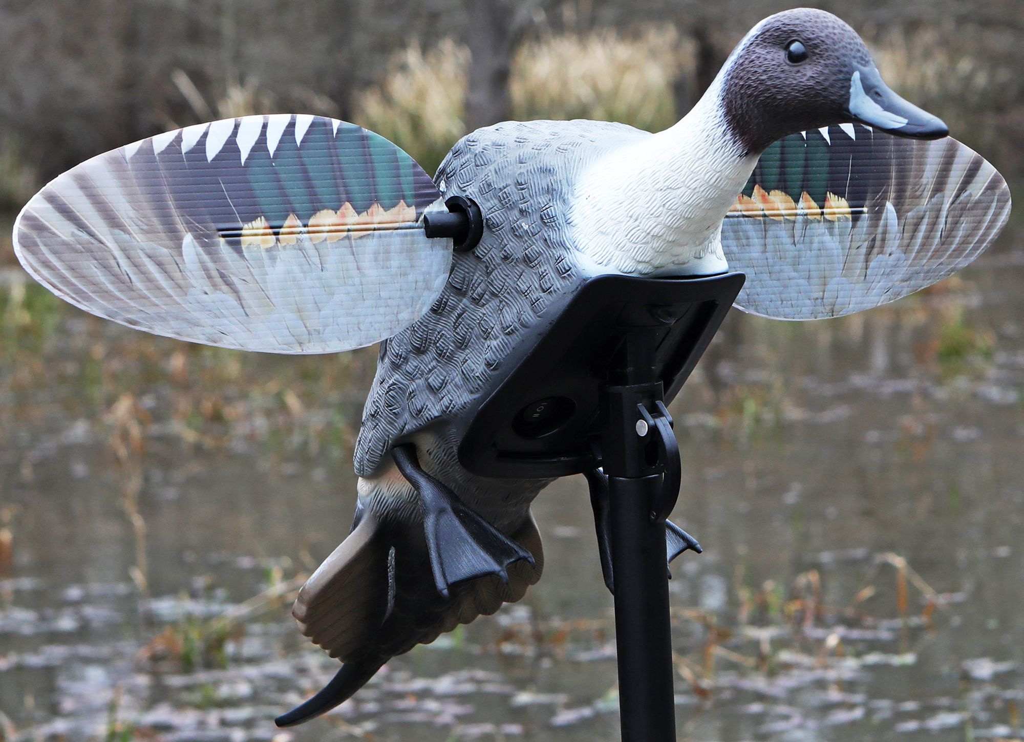 MOJO Outdoors Elite Series Pintail Decoy product image