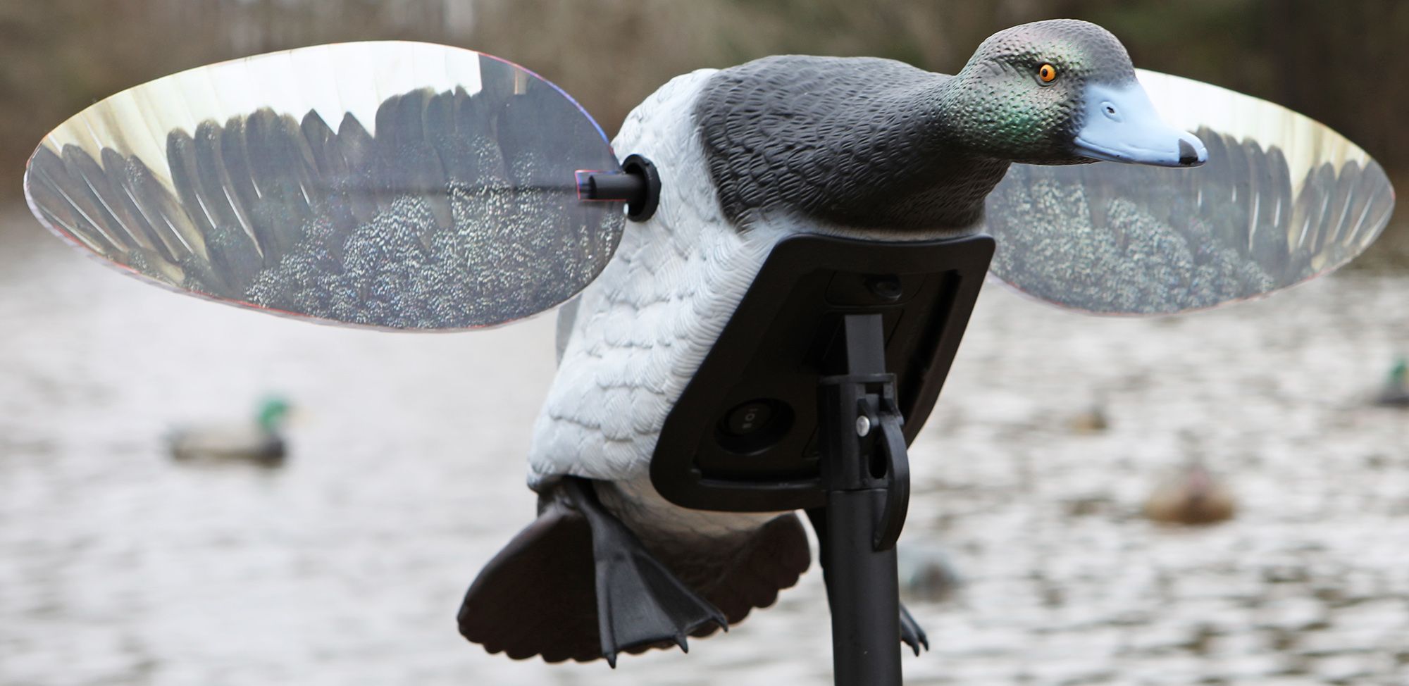 MOJO Outdoors Elite Series Bluebill Diver Decoy product image
