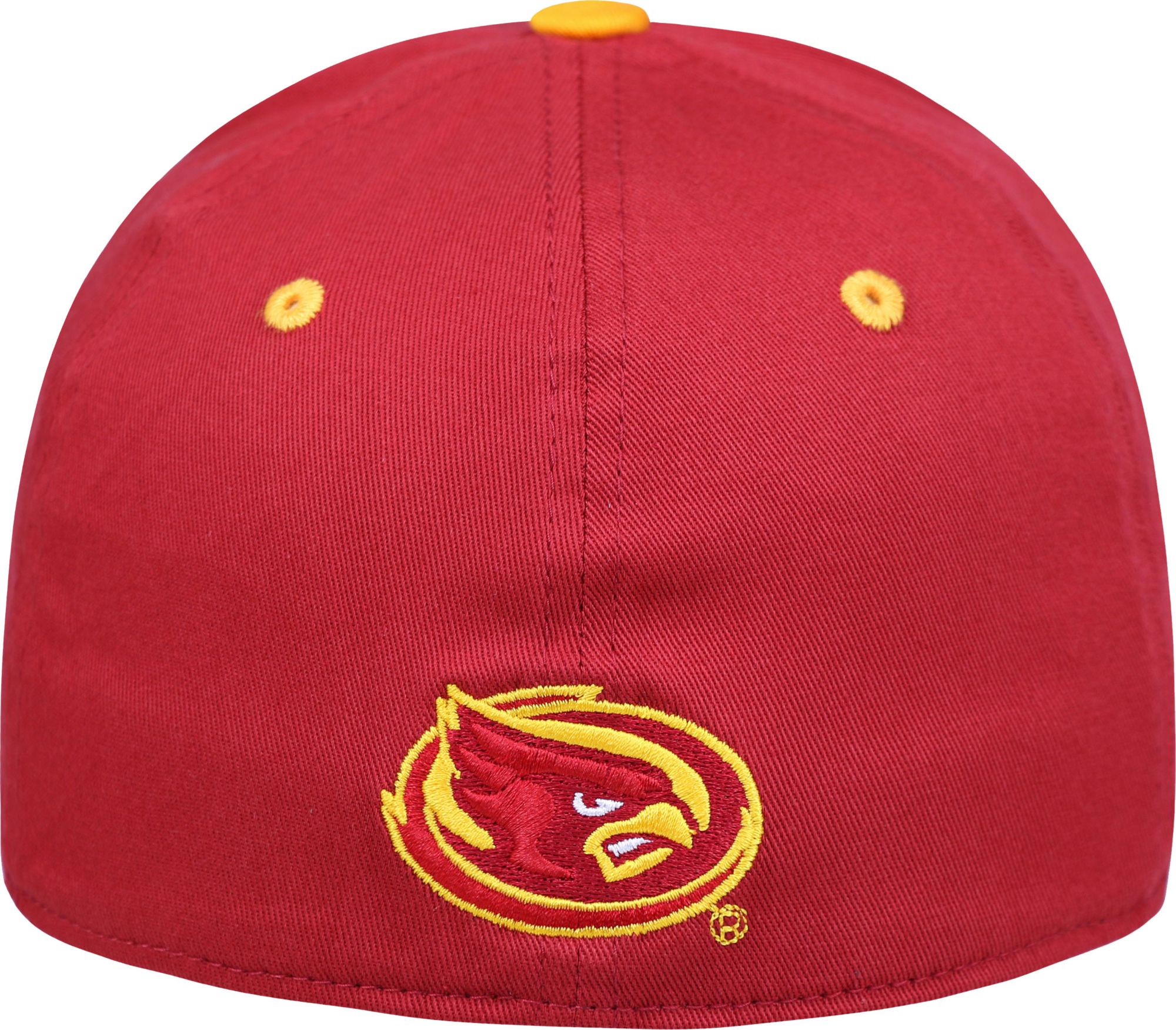 Top of the World Youth Iowa State Cyclones Rookie 1Fit Hat product image