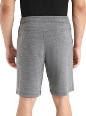Icebreaker Men's Merino Shifter Shorts product image