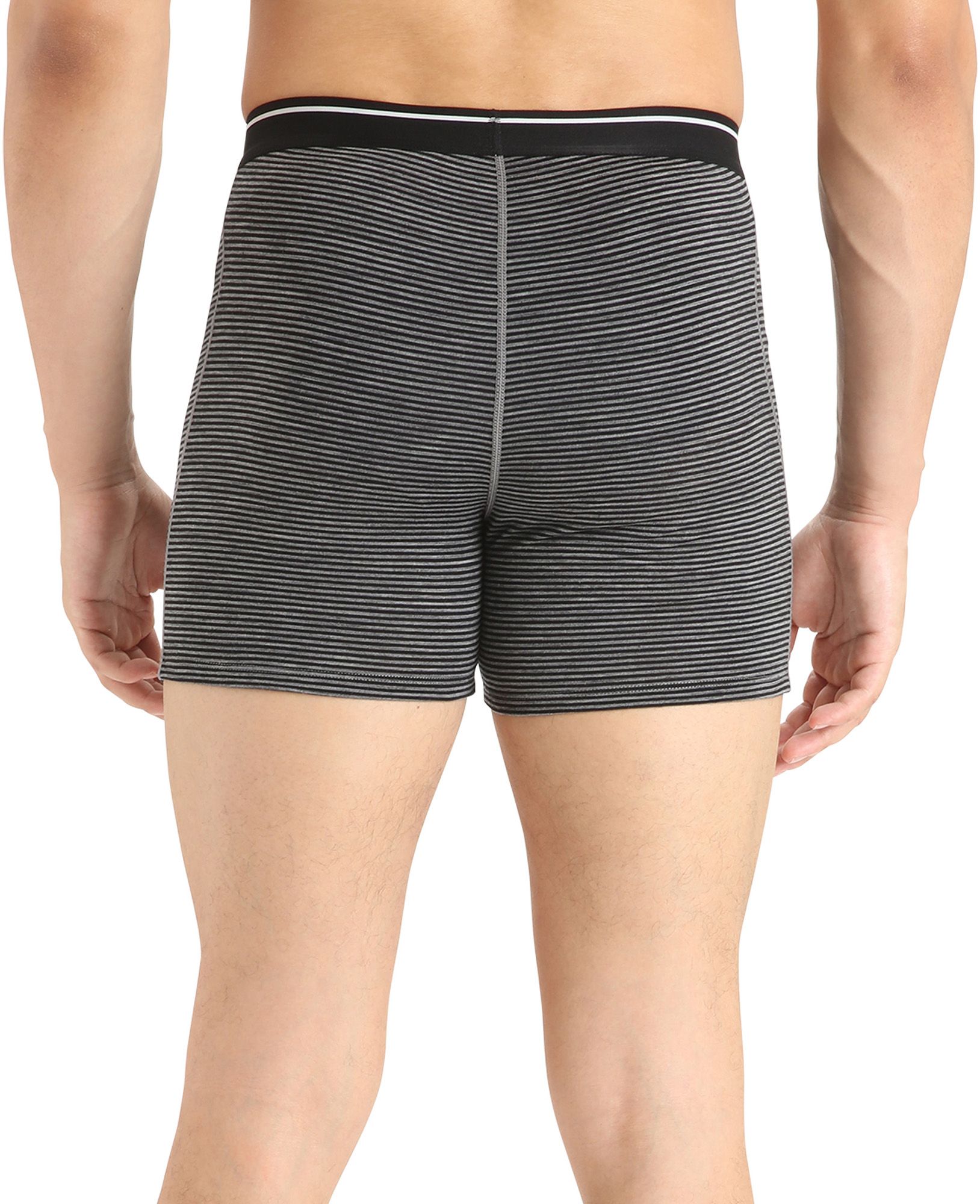 Icebreaker Men's Anatomica Boxers product image