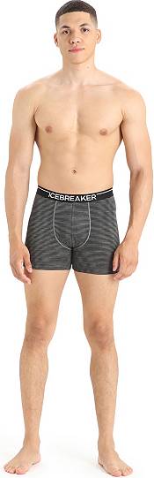 Buy Icebreaker Anatomica Boxers (103029) from £27.49 (Today) – Best Deals  on