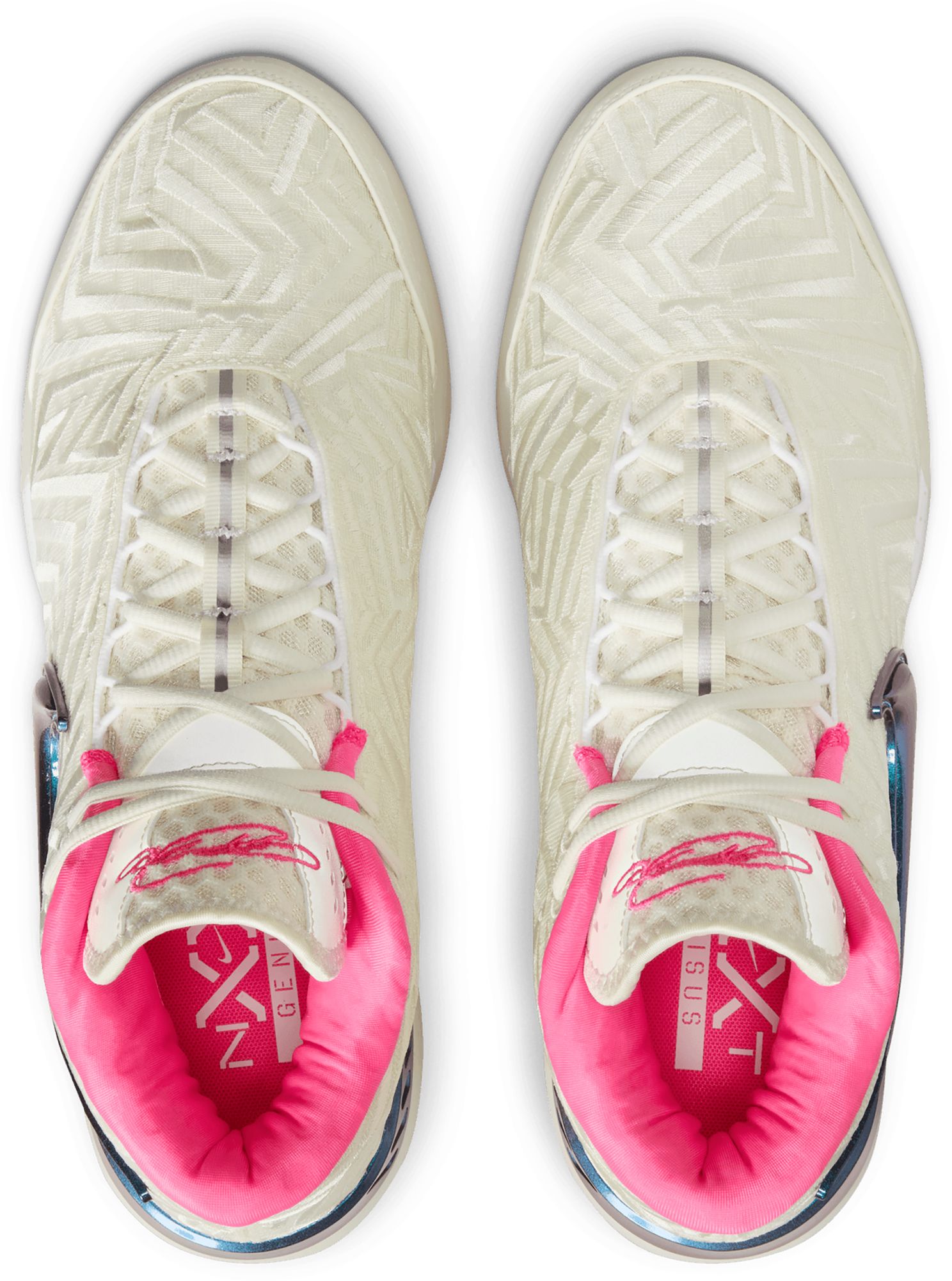 Nike LeBron NXXT Genisus Basketball Shoes product image