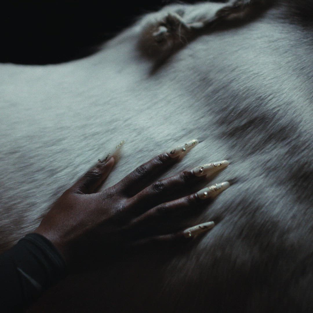 Nike Men's Pegasus 42 Running Shoes product