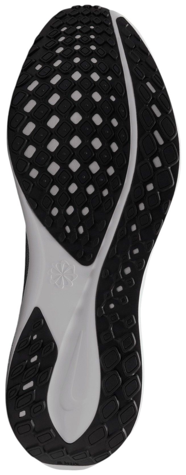 Nike Pegasus 41 Lions Running Shoes product image