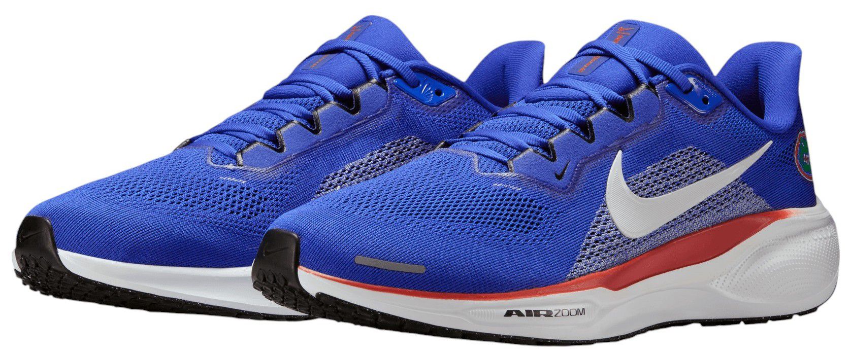 Nike Pegasus 41 Florida Running Shoes product image