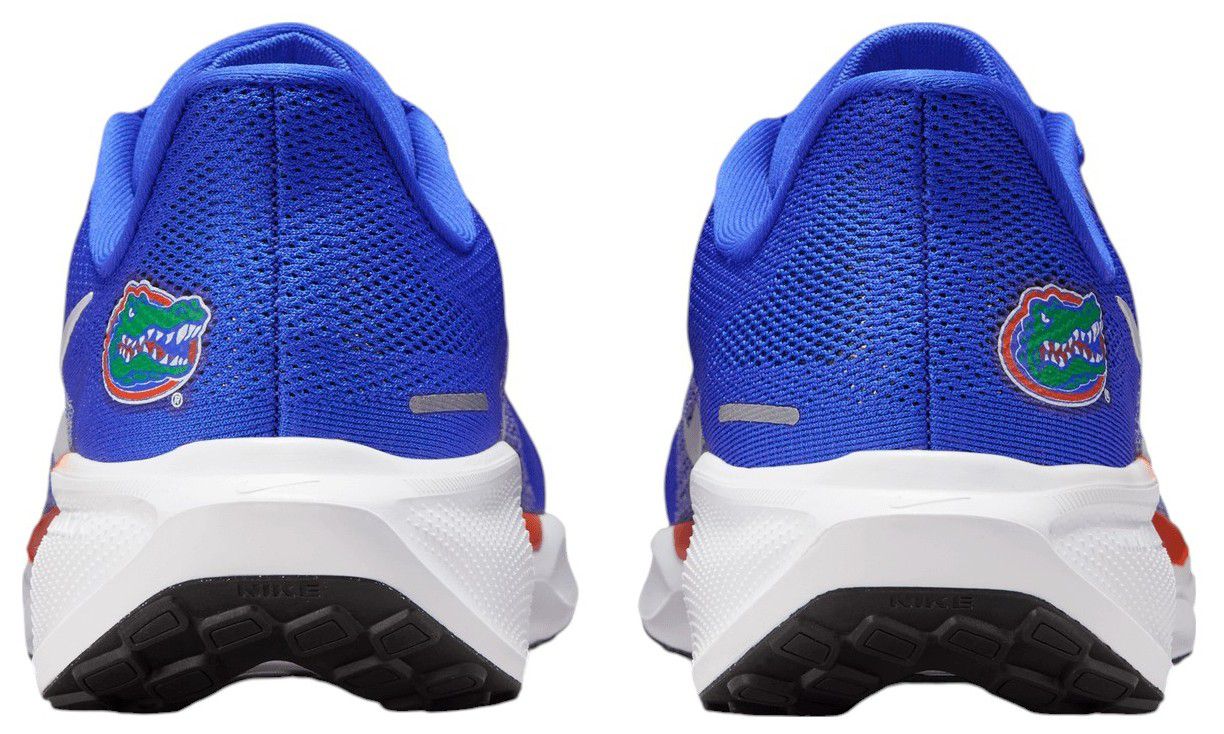 Nike Pegasus 41 Florida Running Shoes product image