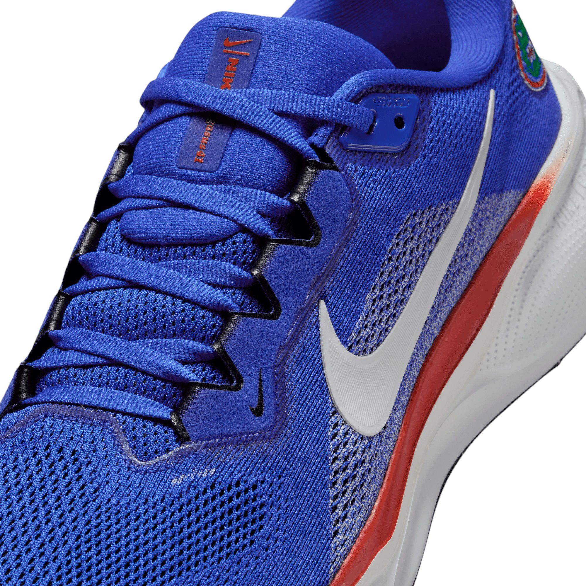 Nike Pegasus 41 Florida Running Shoes product image