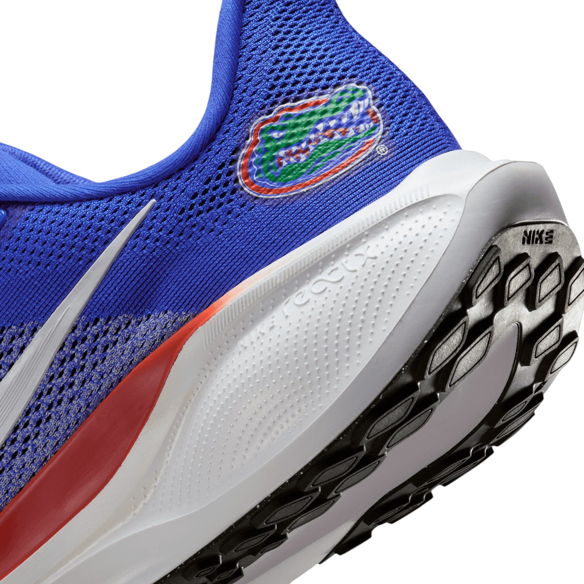 Nike Pegasus 41 Florida Running Shoes product image
