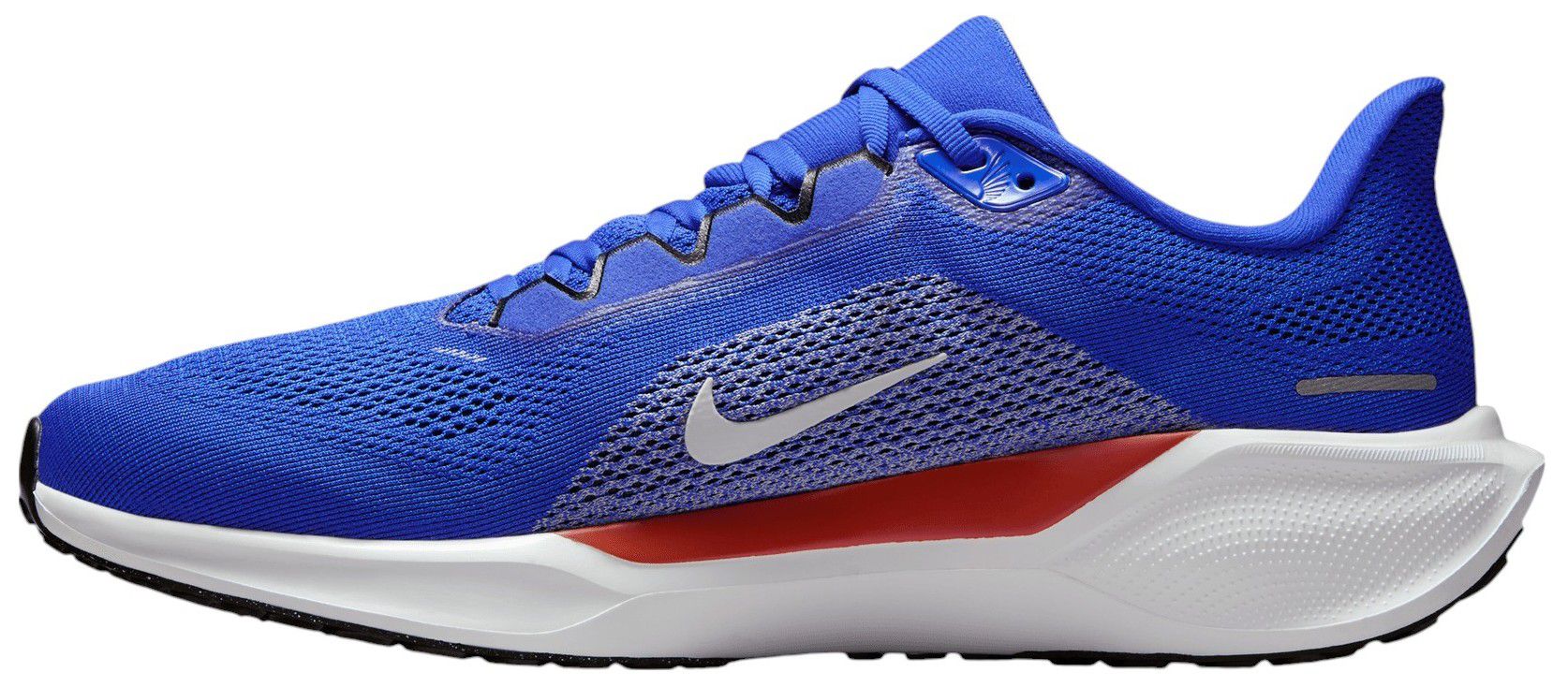 Nike Pegasus 41 Florida Running Shoes product image