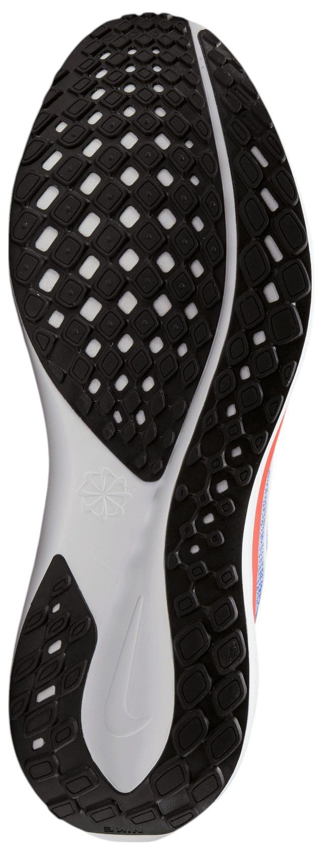 Nike Pegasus 41 Florida Running Shoes product image