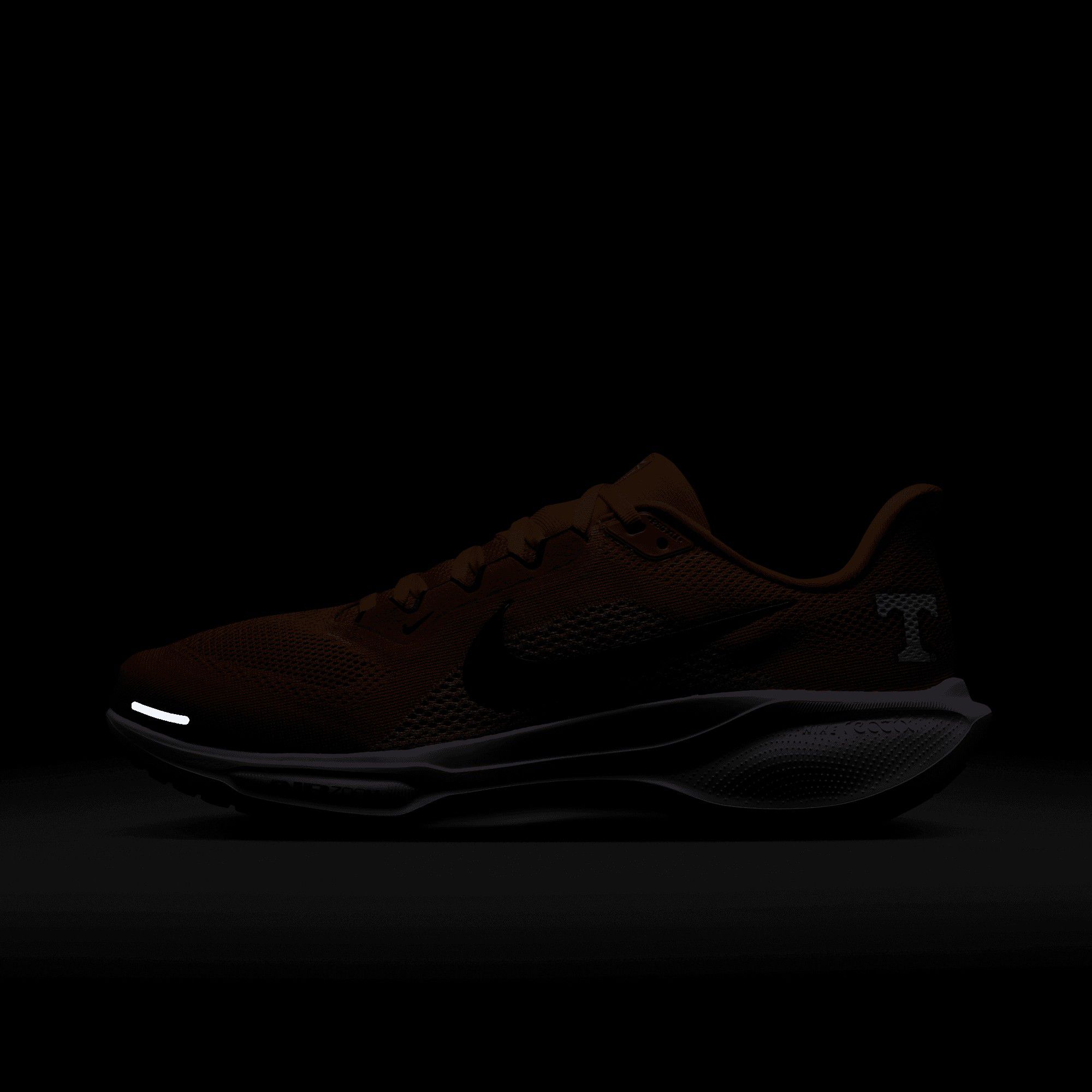 Nike Pegasus 41 Tennessee Running Shoes product image