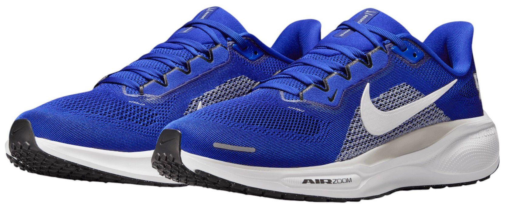 Nike Pegasus 41 Kentucky Running Shoes product image