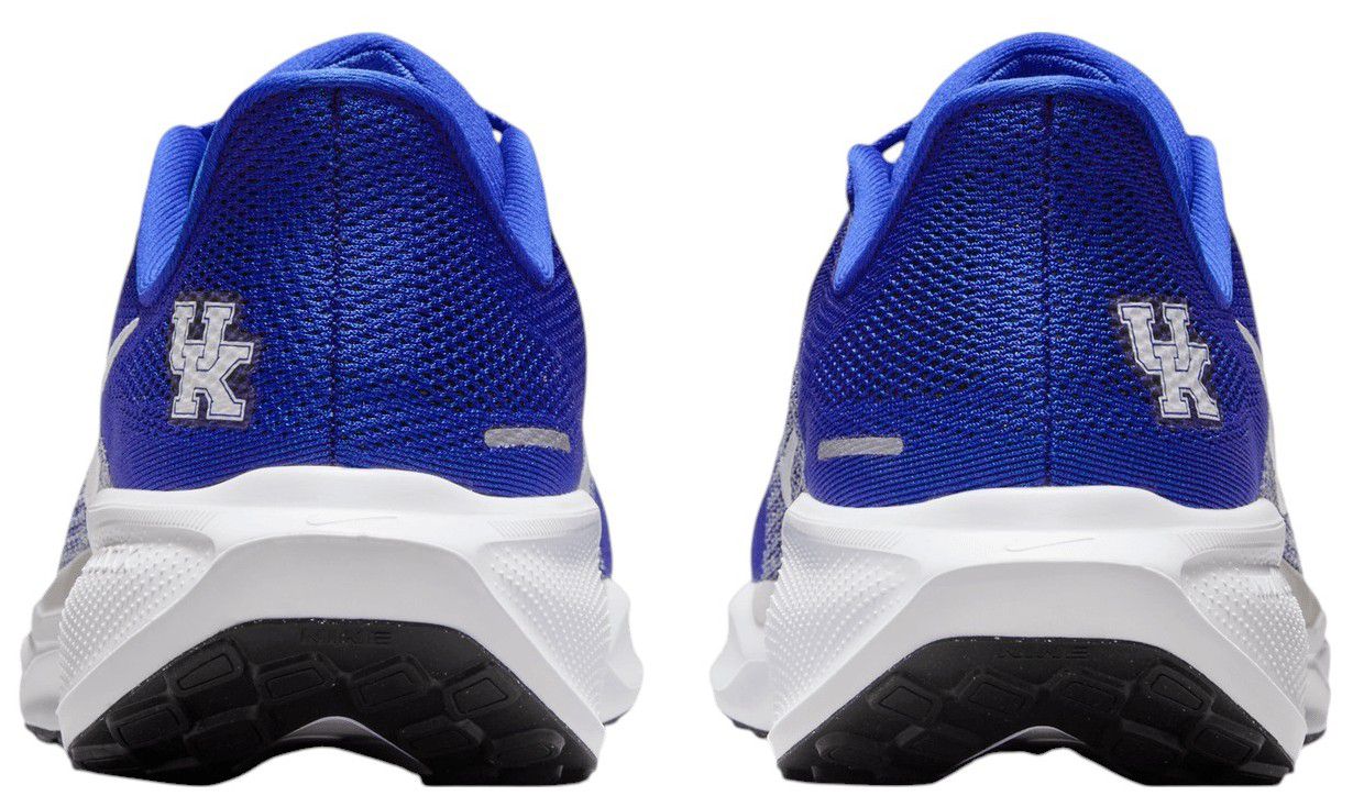 Nike Pegasus 41 Kentucky Running Shoes product image