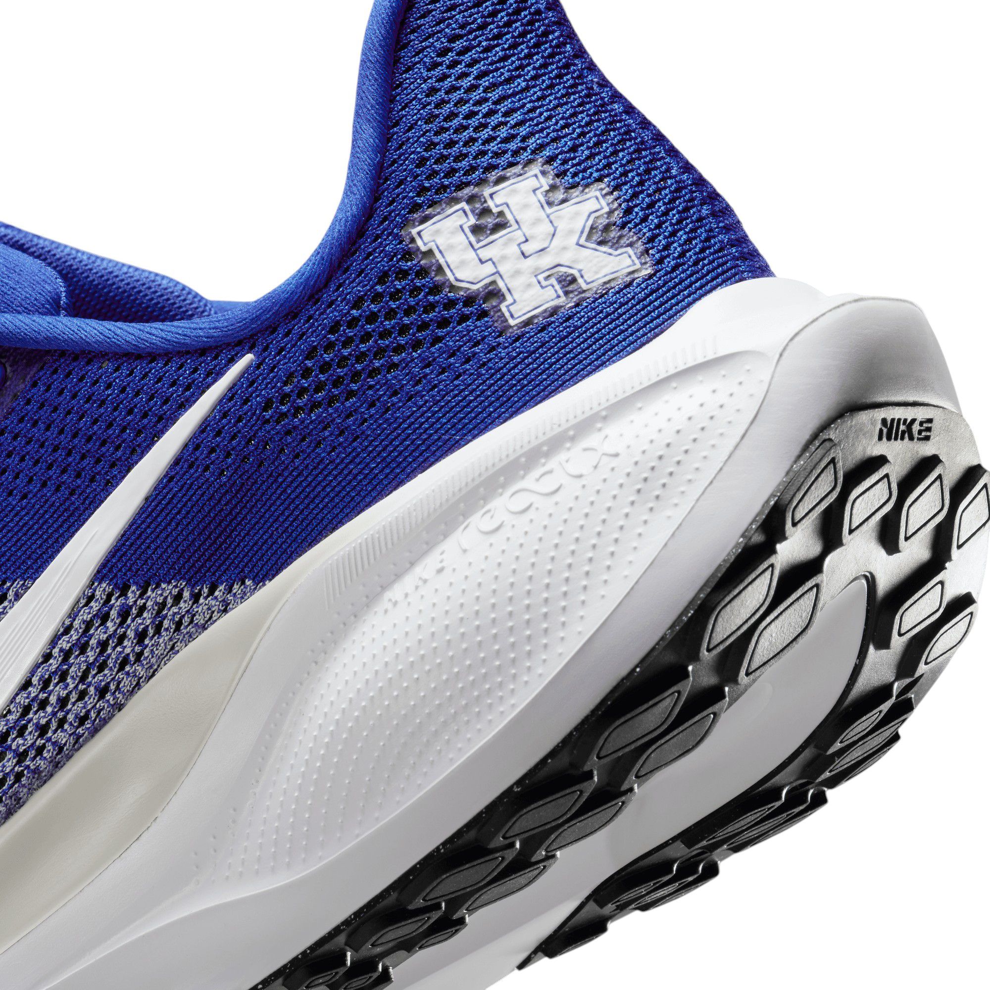 Nike Pegasus 41 Kentucky Running Shoes product image