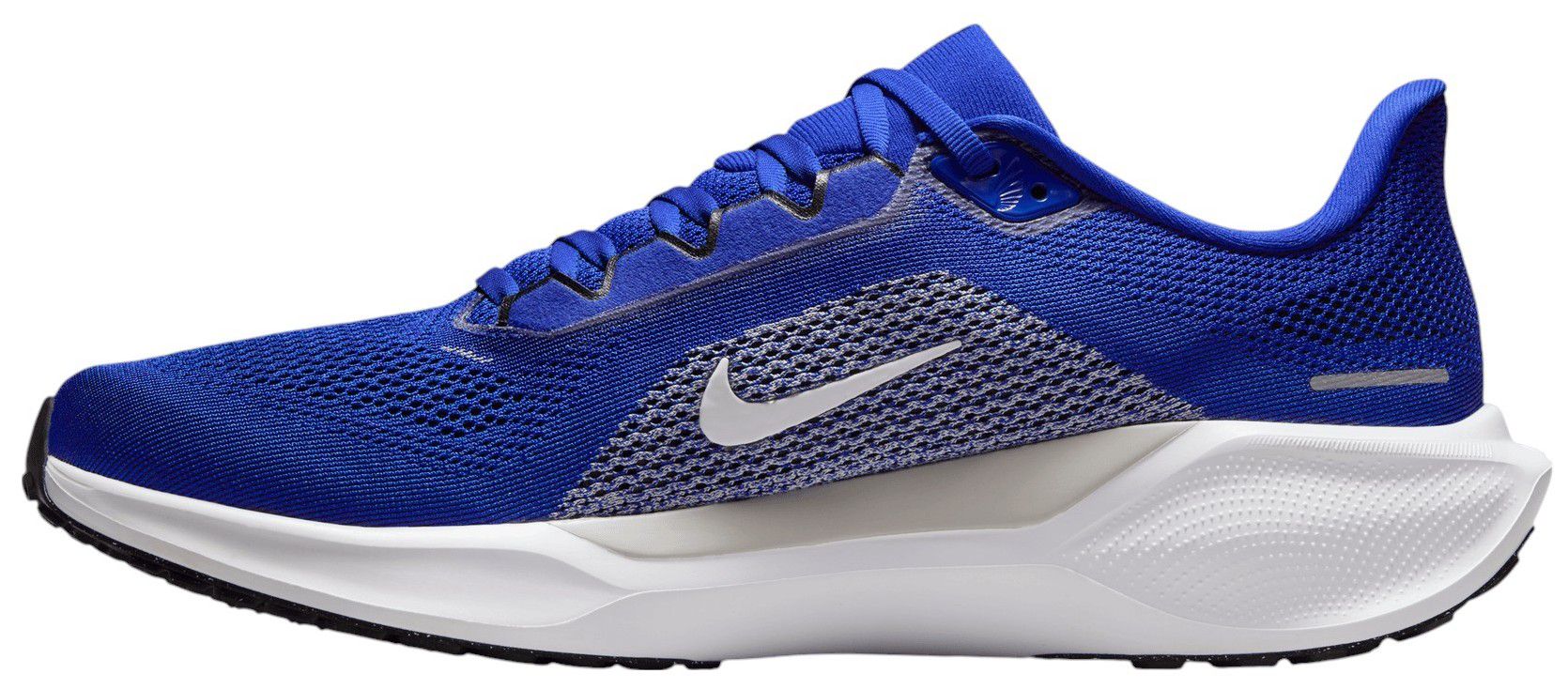 Nike Pegasus 41 Kentucky Running Shoes product image
