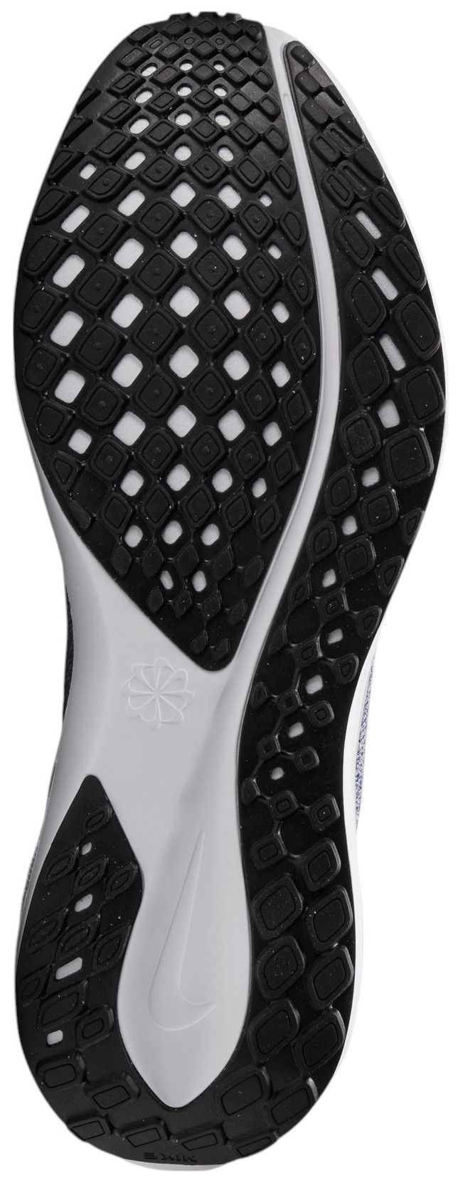 Nike Pegasus 41 Kentucky Running Shoes product image