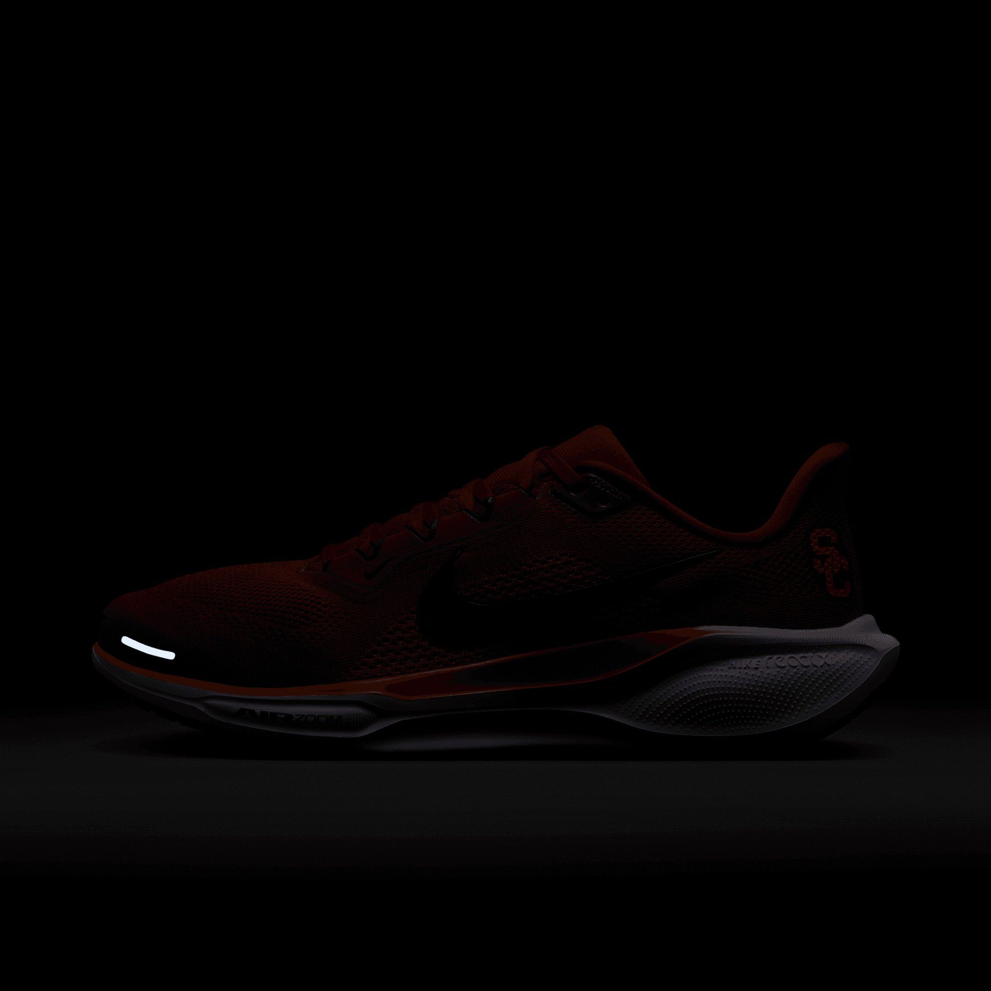 Nike Pegasus 41 USC Running Shoes product image