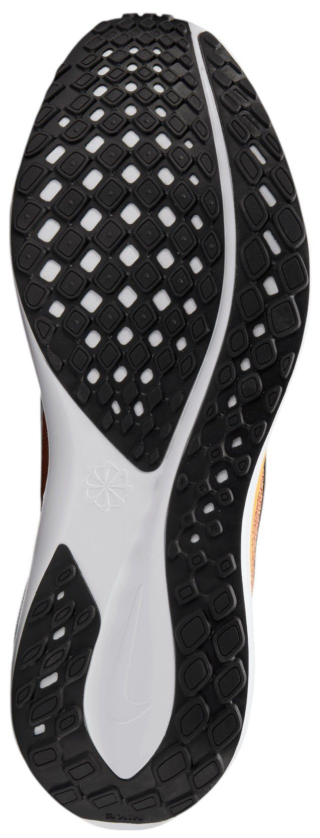 Nike Pegasus 41 USC Running Shoes product image