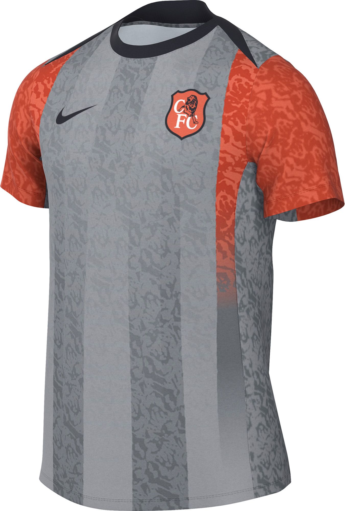 Nike Adult Chelsea FC Wolf Gray 2025 Prematch Top product image
