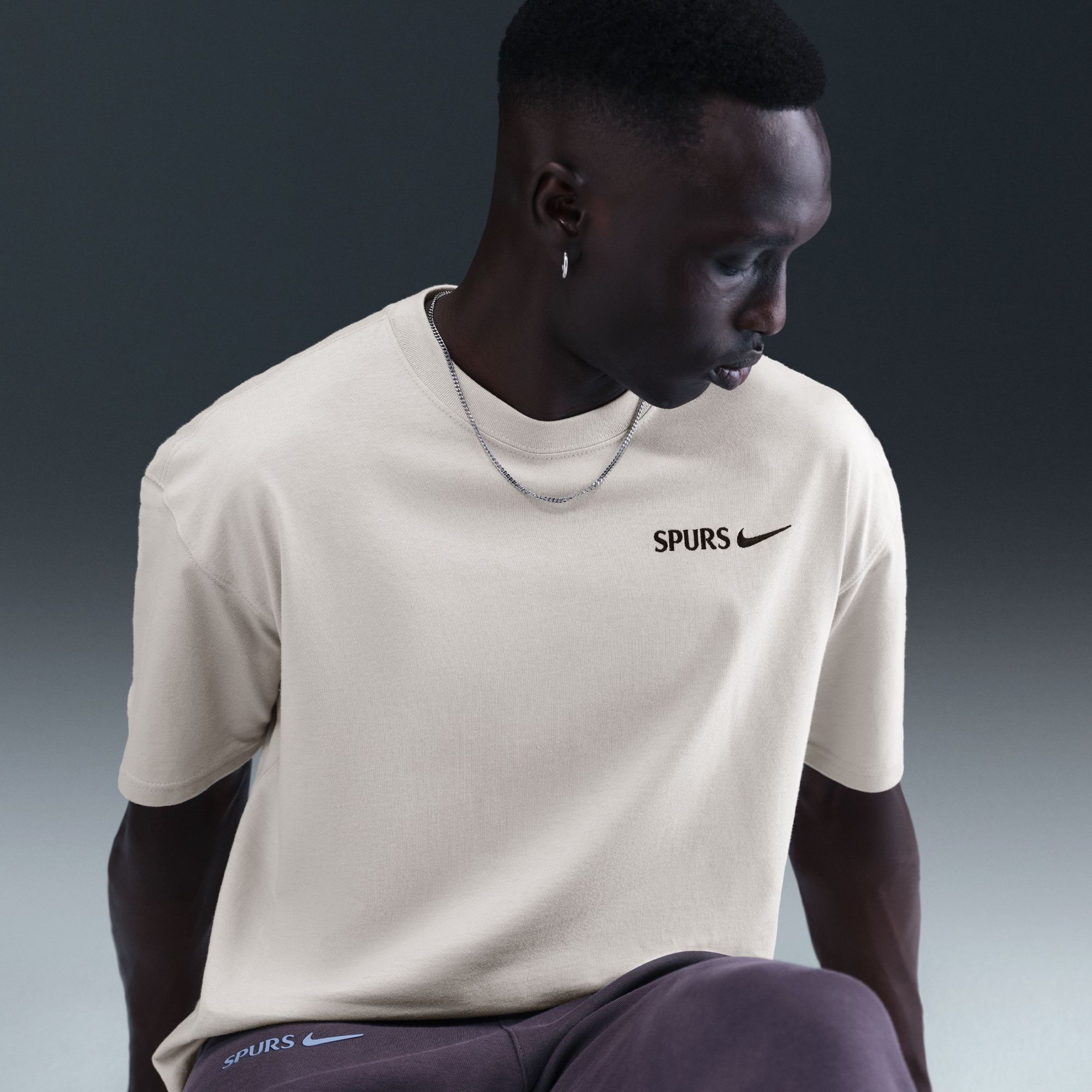 Nike Men's 2025 Tottenham Hotspur Grey Alternate Team Wordmark T-Shirt product image