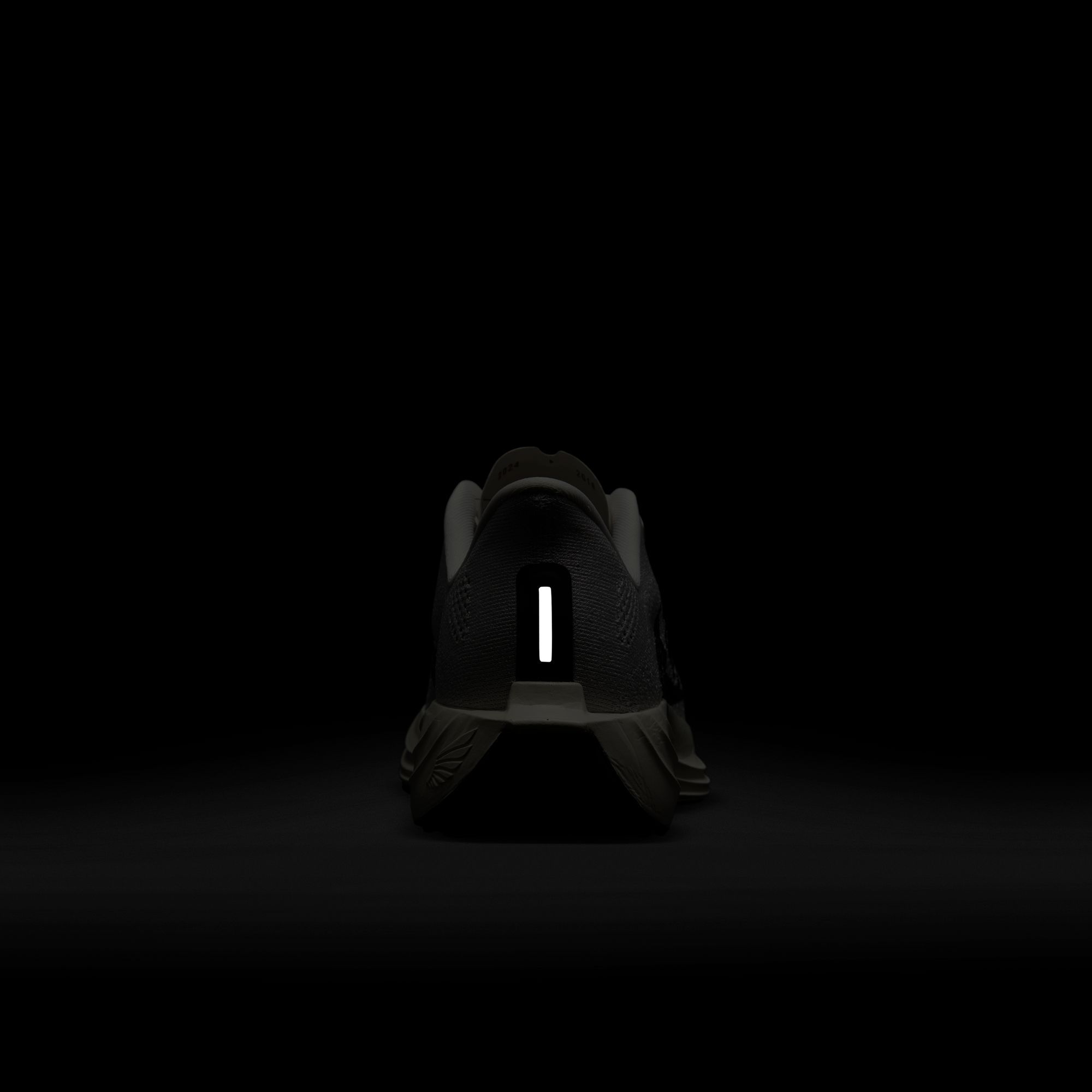 Nike Men's Pegasus Plus Running Shoes product image