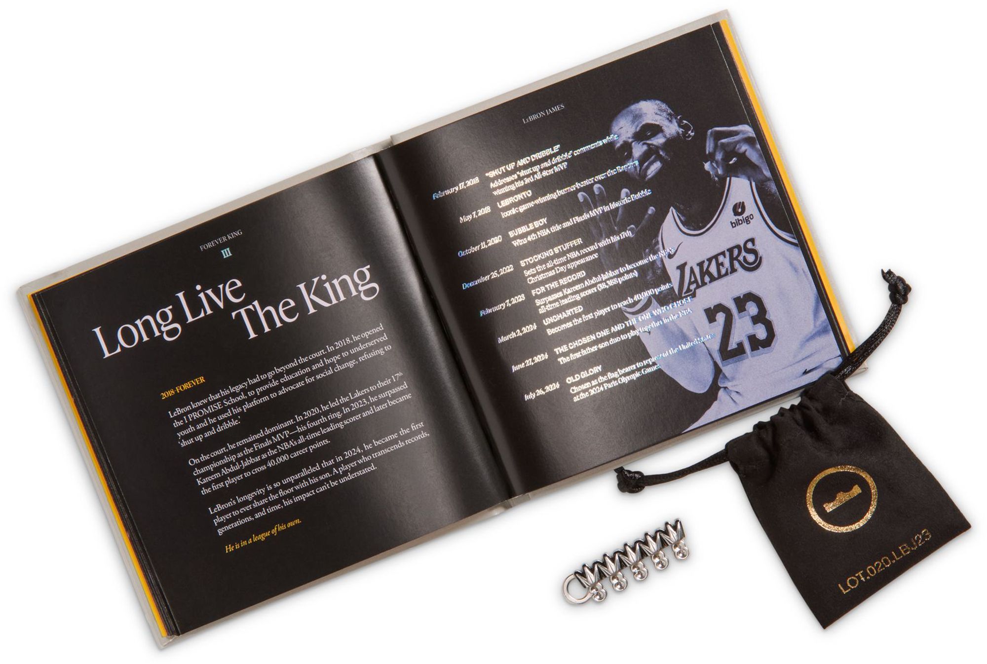 Nike LeBron XXIII 'For the Record' Basketball Shoes product image