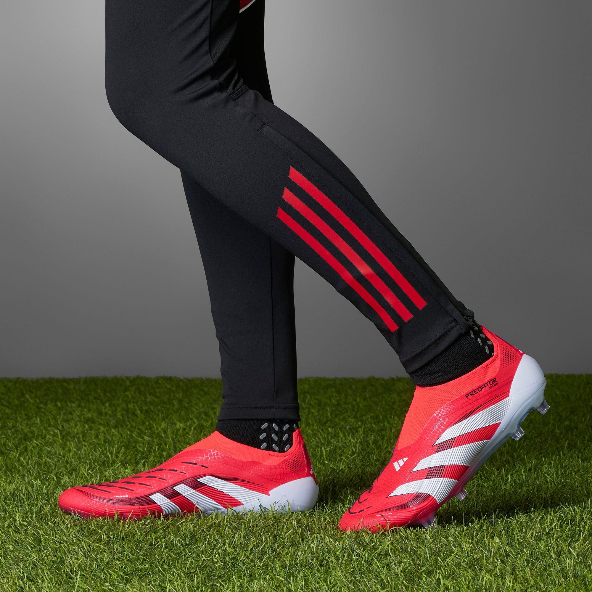 adidas Predator Elite Laceless FG Soccer Cleats product image