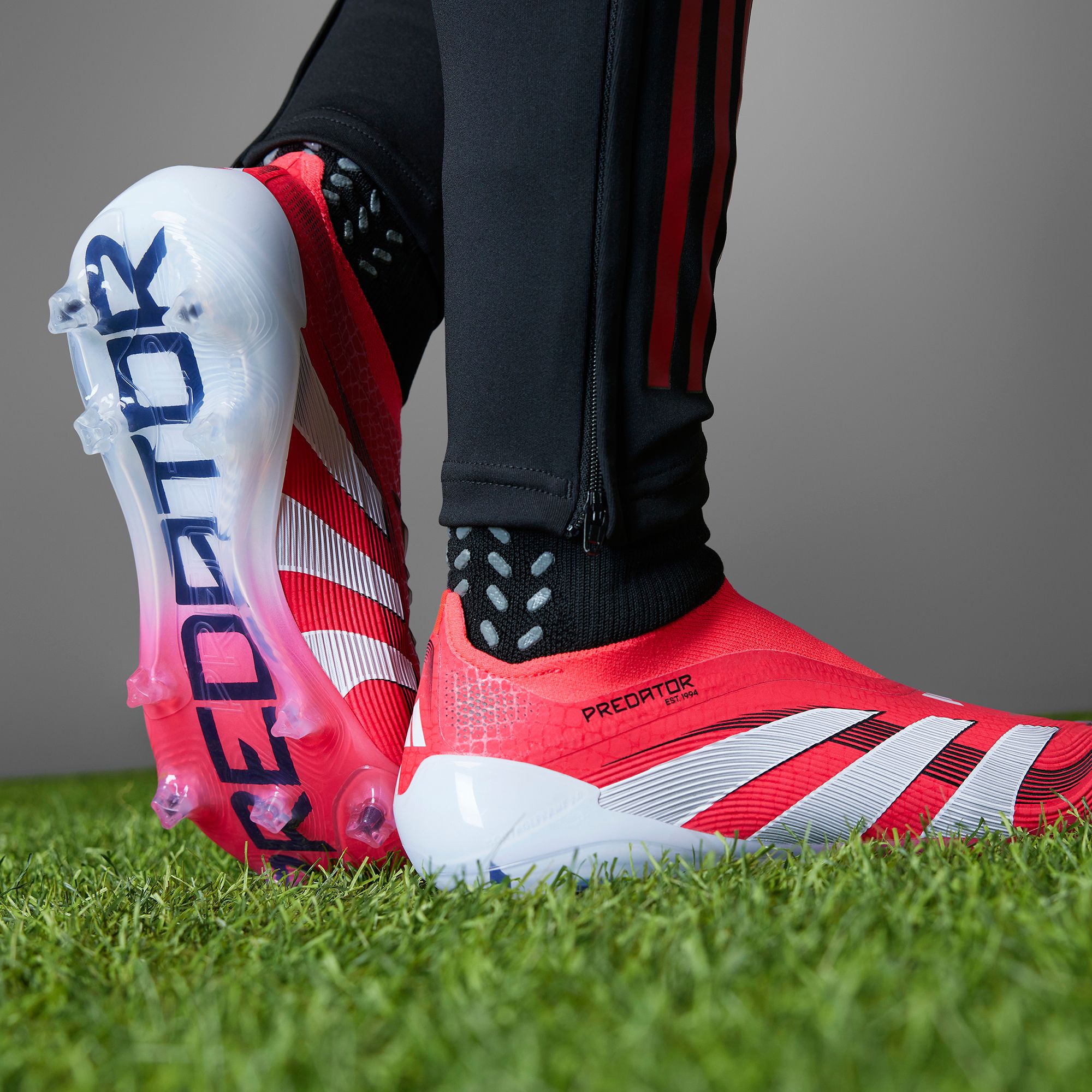 adidas Predator Elite Laceless FG Soccer Cleats product image