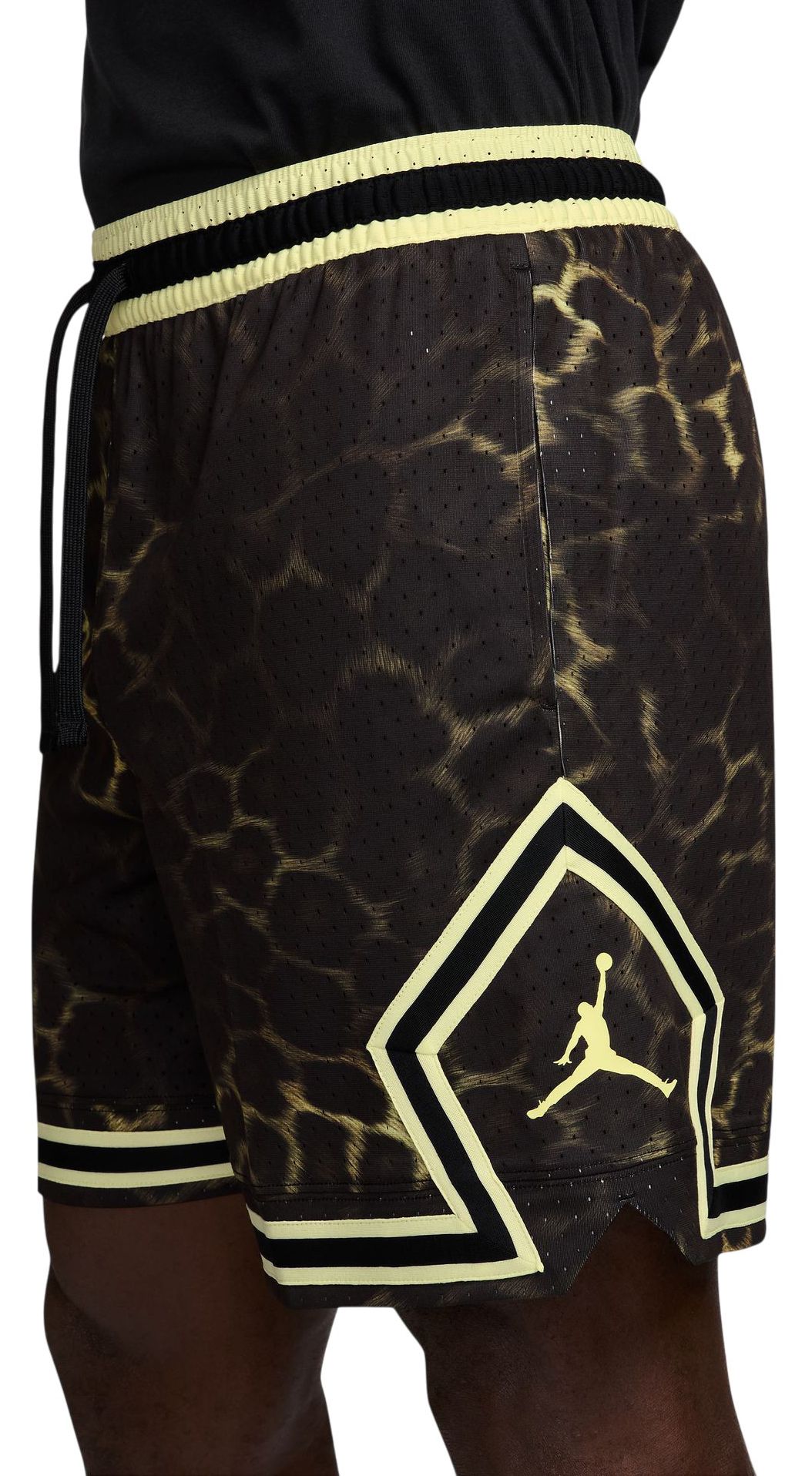 Jordan Men's Dri-FIT Sport Printed Spots Diamond Shorts product image