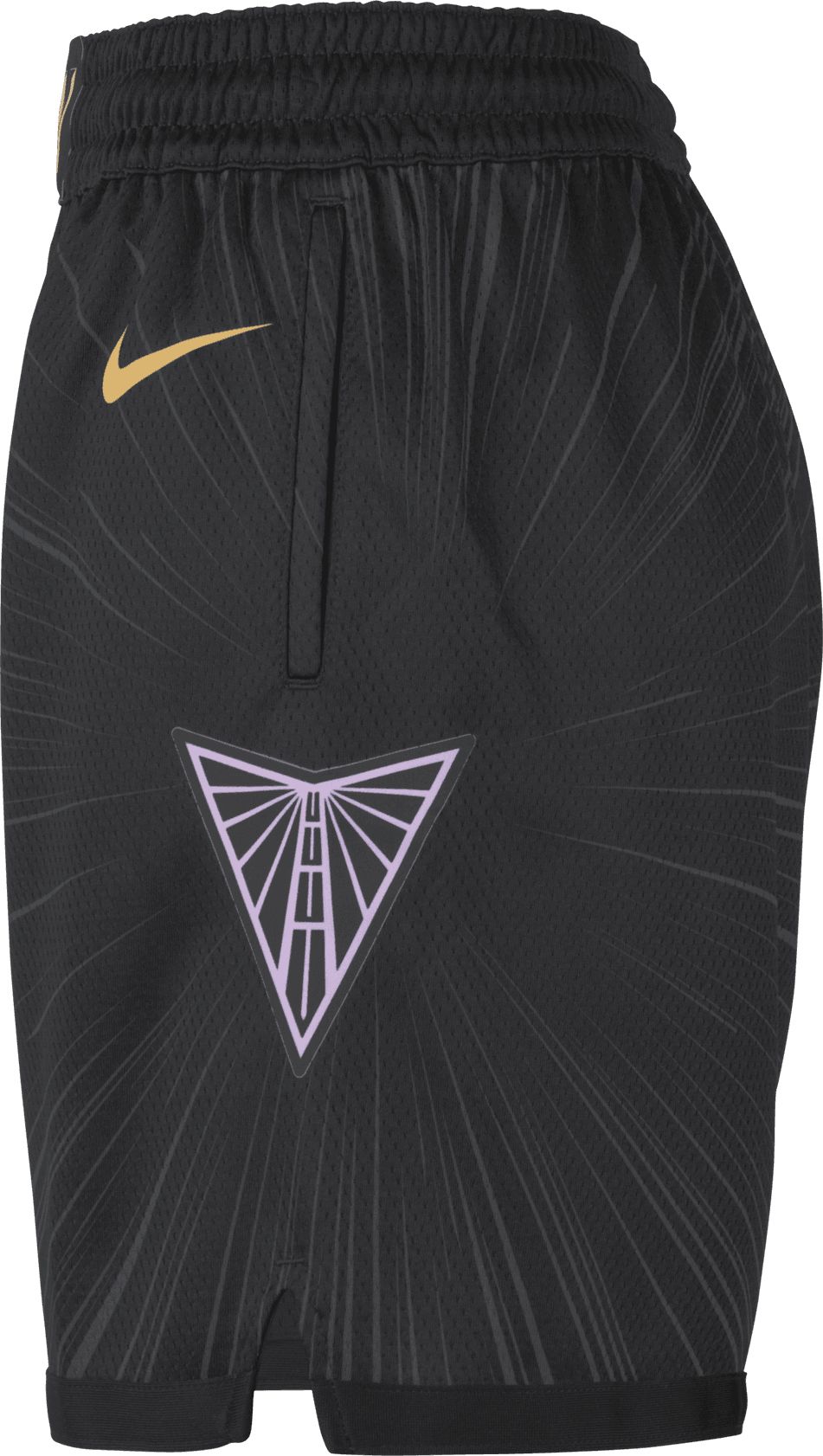 Nike Adult Golden State Valkyries Black Rebel Replica Shorts product image