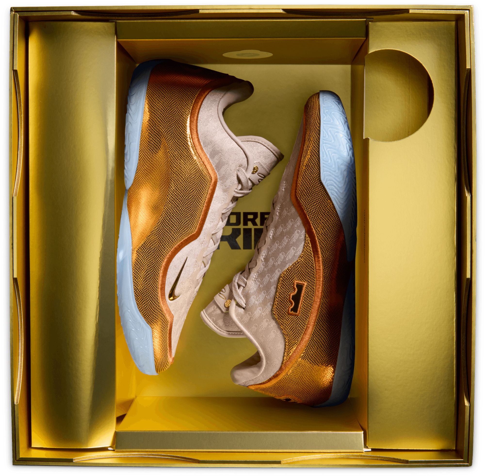 Nike LeBron XXIII 'LeBronto' Basketball Shoes product image