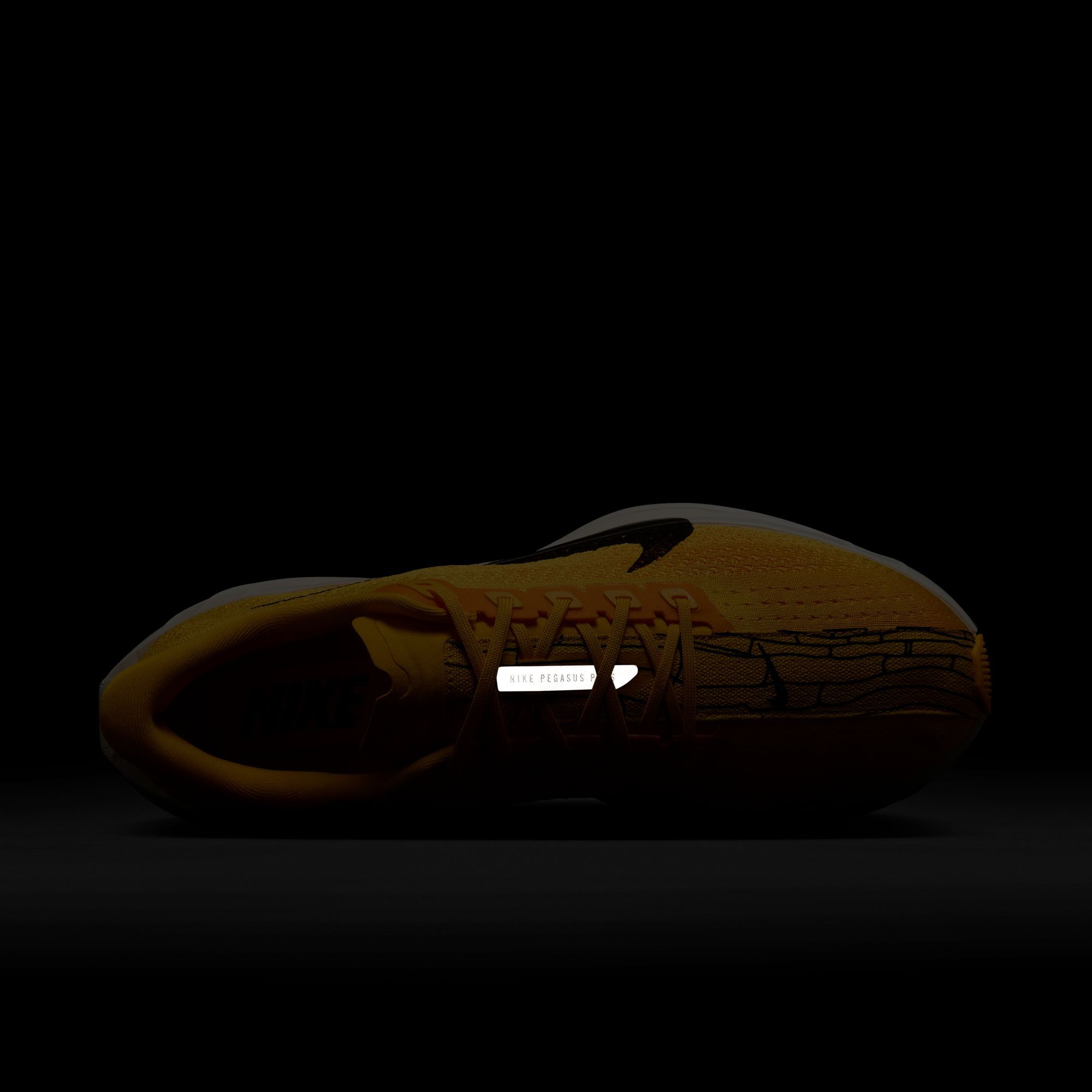 Nike Men's Pegasus Plus Running Shoes product image