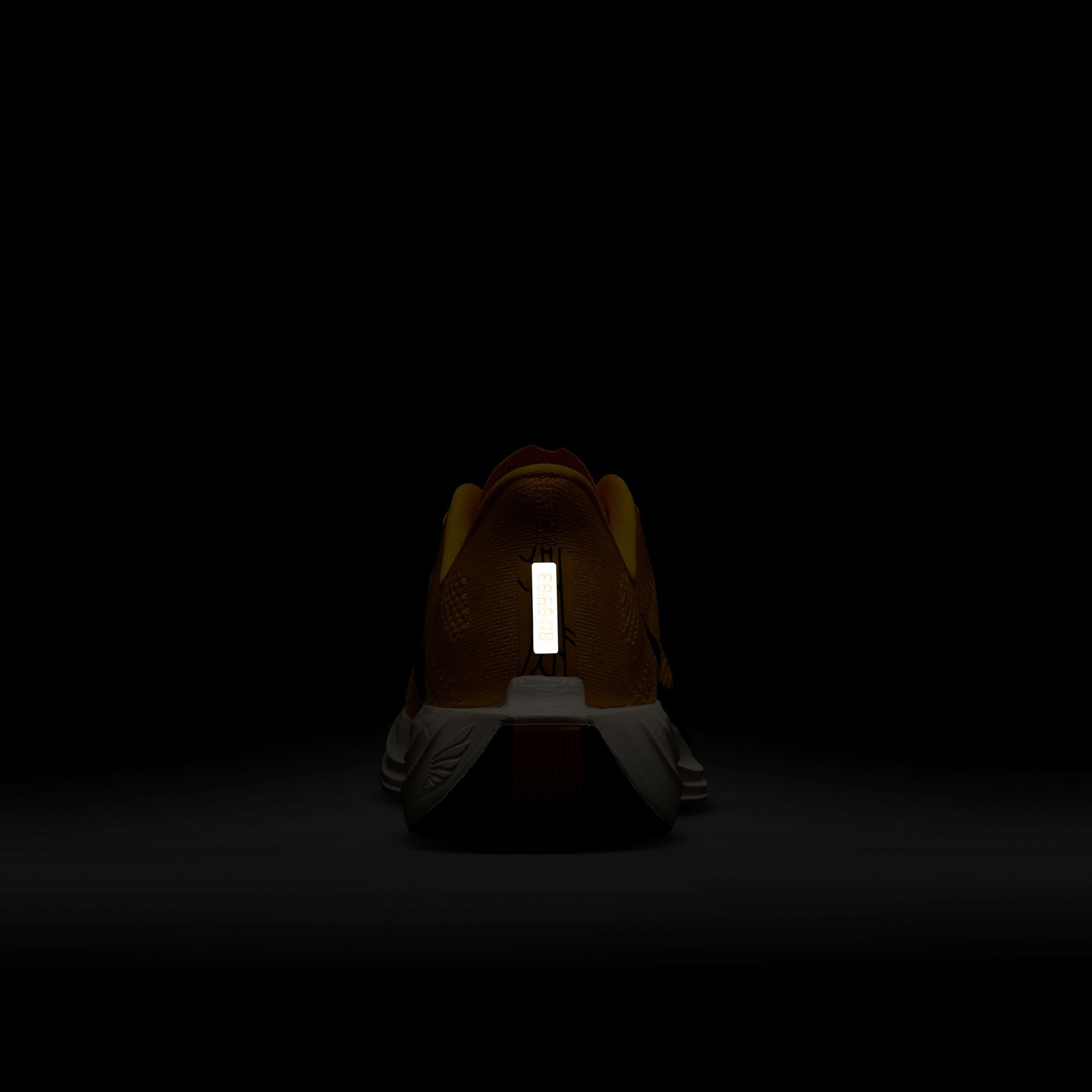 Nike Men's Pegasus Plus Running Shoes product image