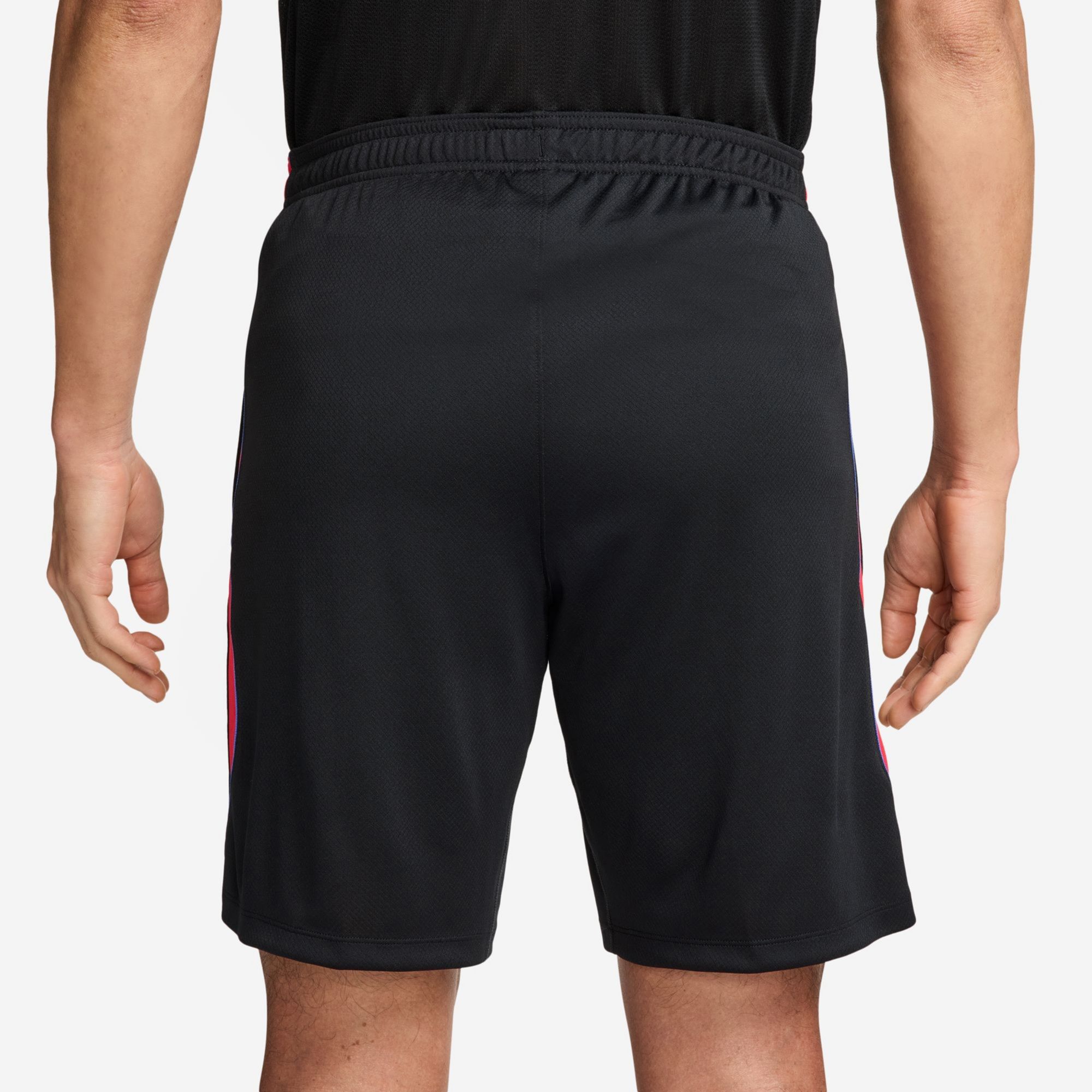 Nike Adult Paris Saint-Germain FC Black 2026 Shorts product image