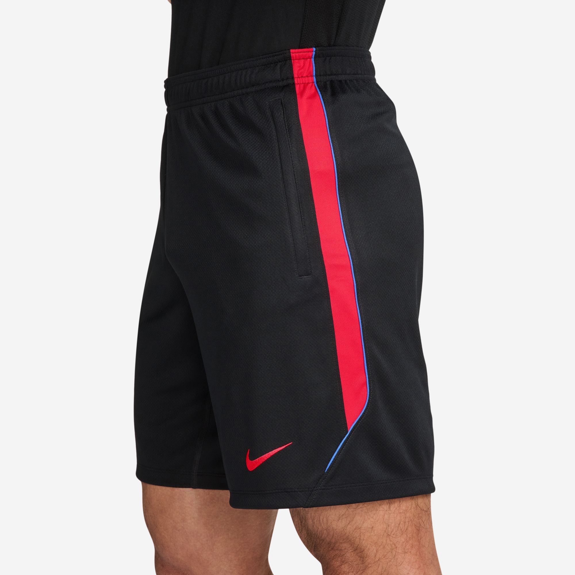 Nike Adult Paris Saint-Germain FC Black 2026 Shorts product image