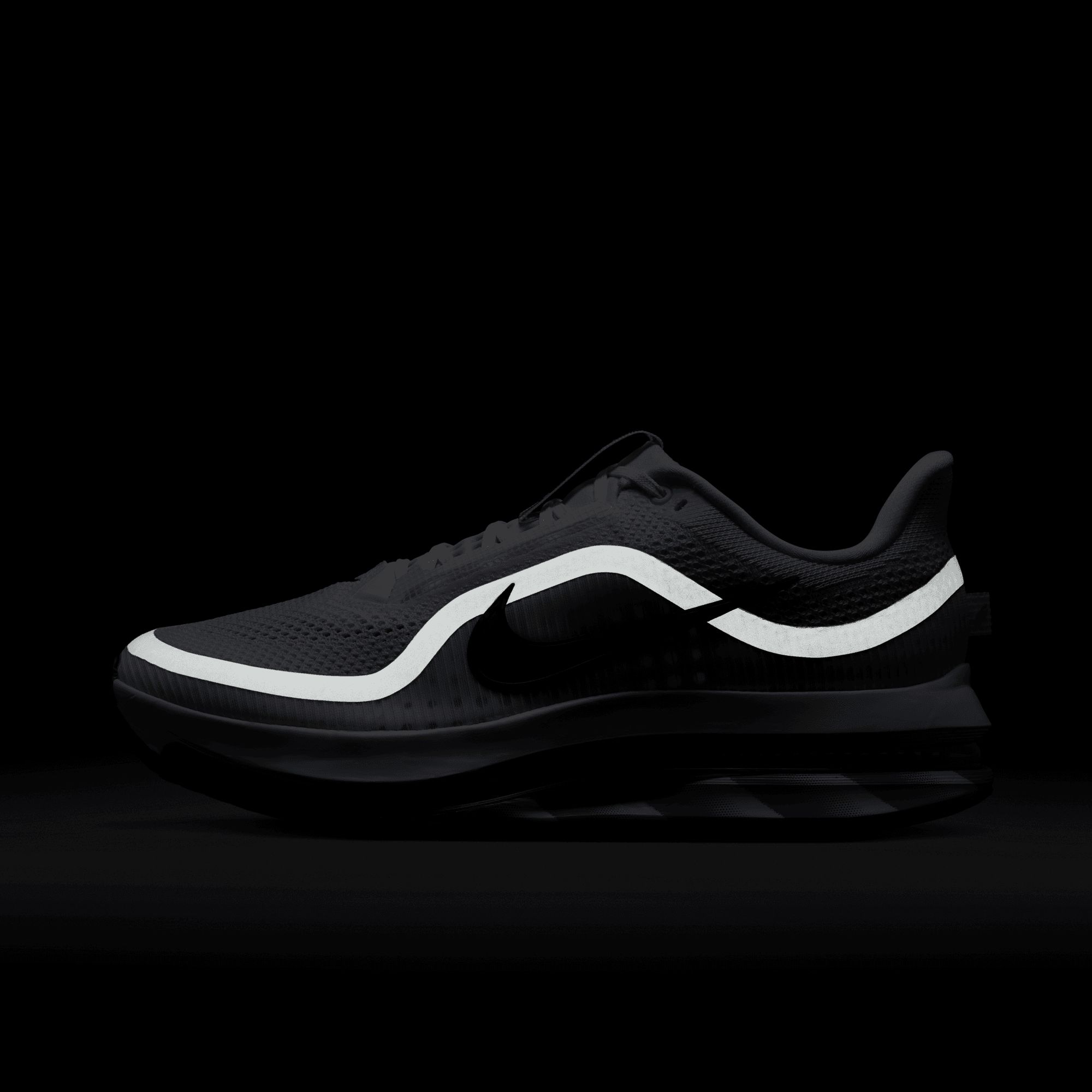 Nike Men's Pegasus Premium Running Shoes product image