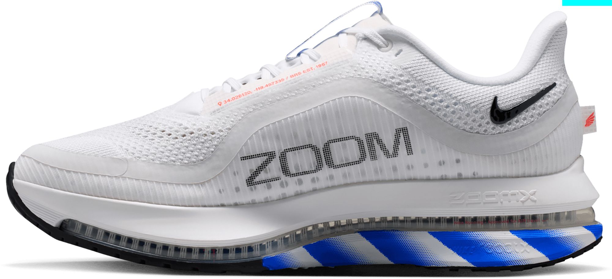 Nike Men's Pegasus Premium Running Shoes product image