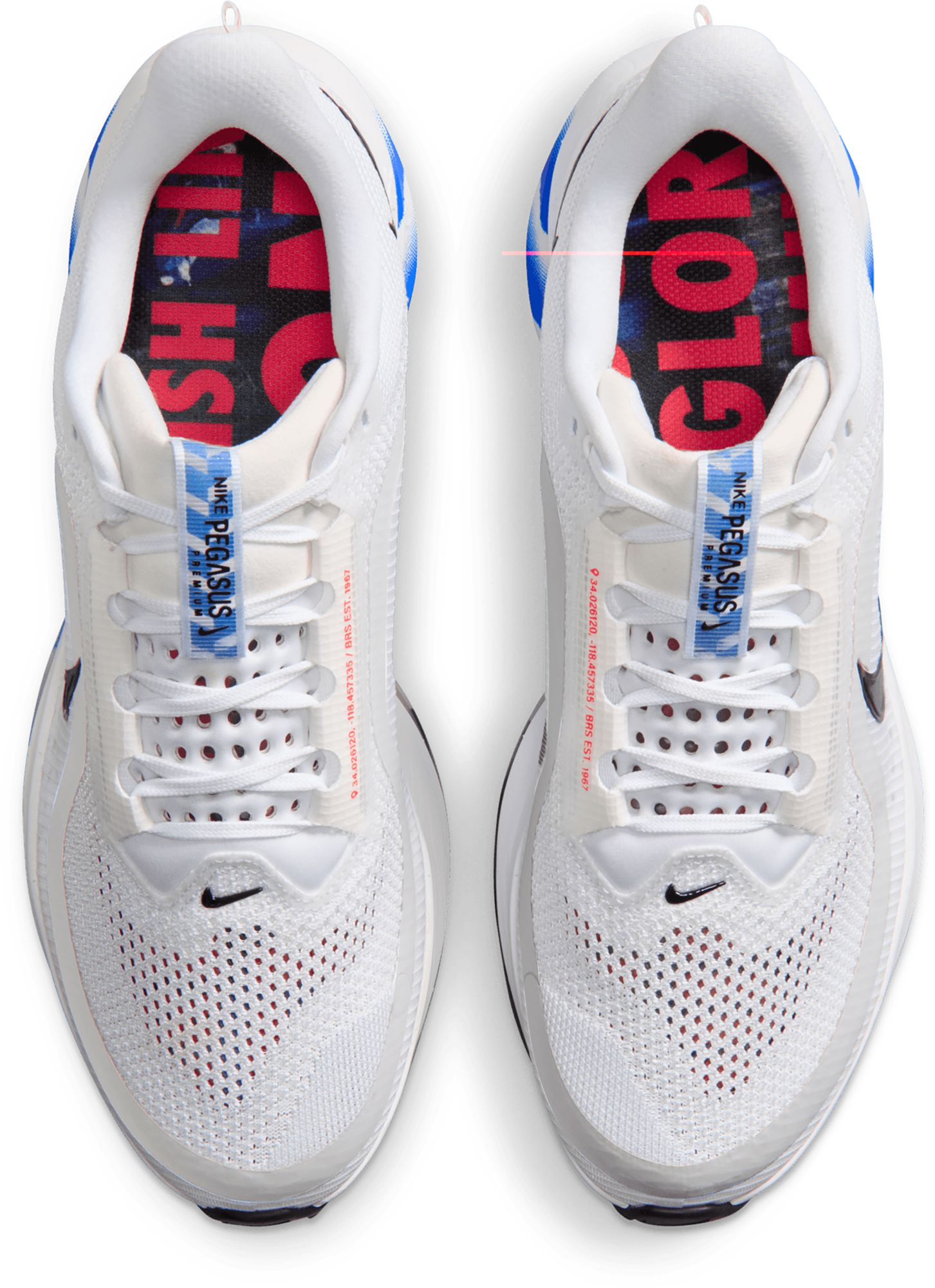 Nike Men's Pegasus Premium Running Shoes product image